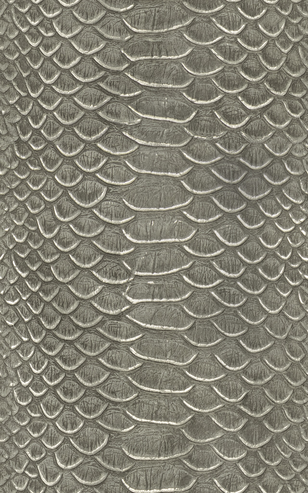 AMAZON GALVANIZED