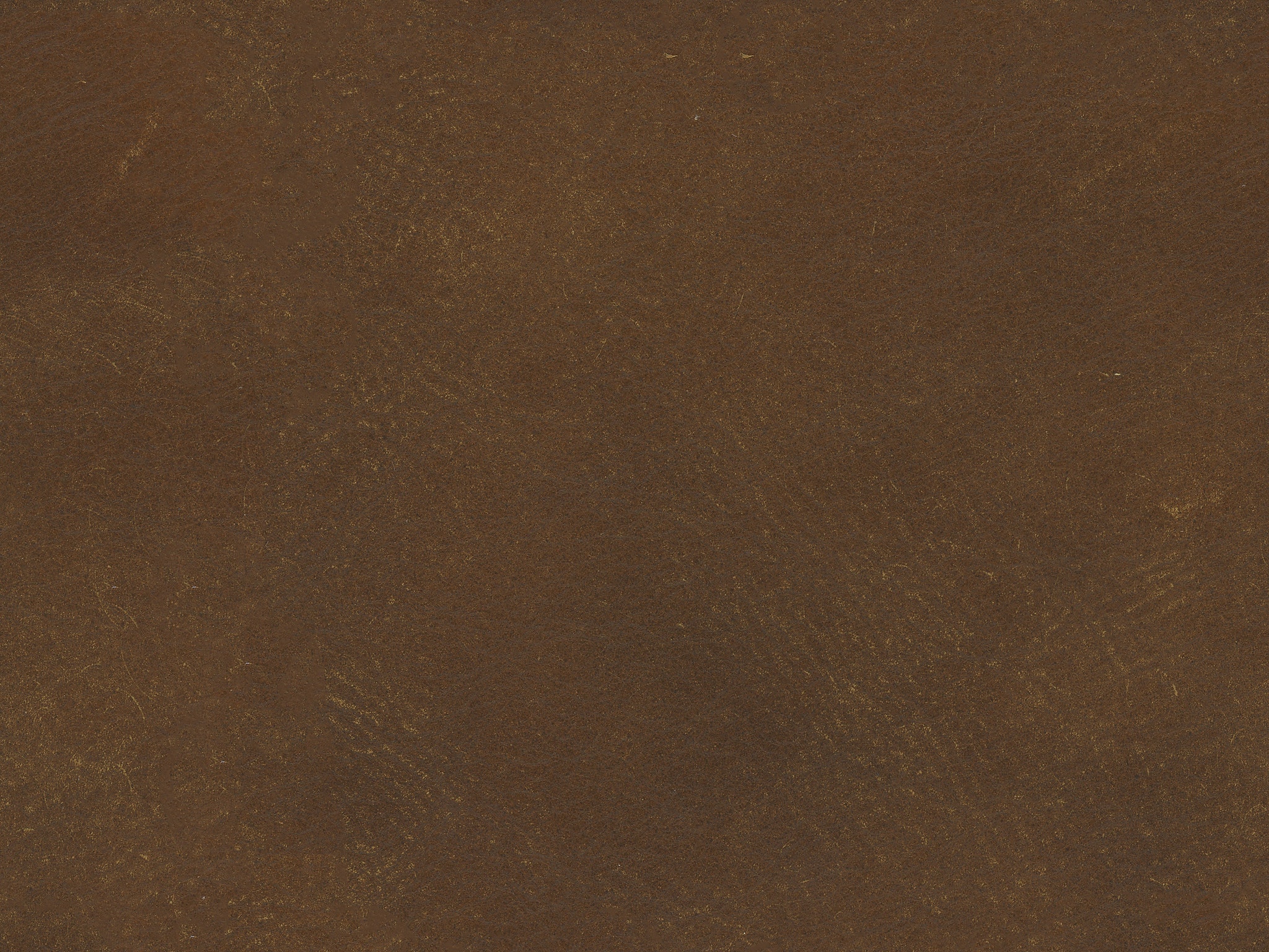 BERRA TERRA