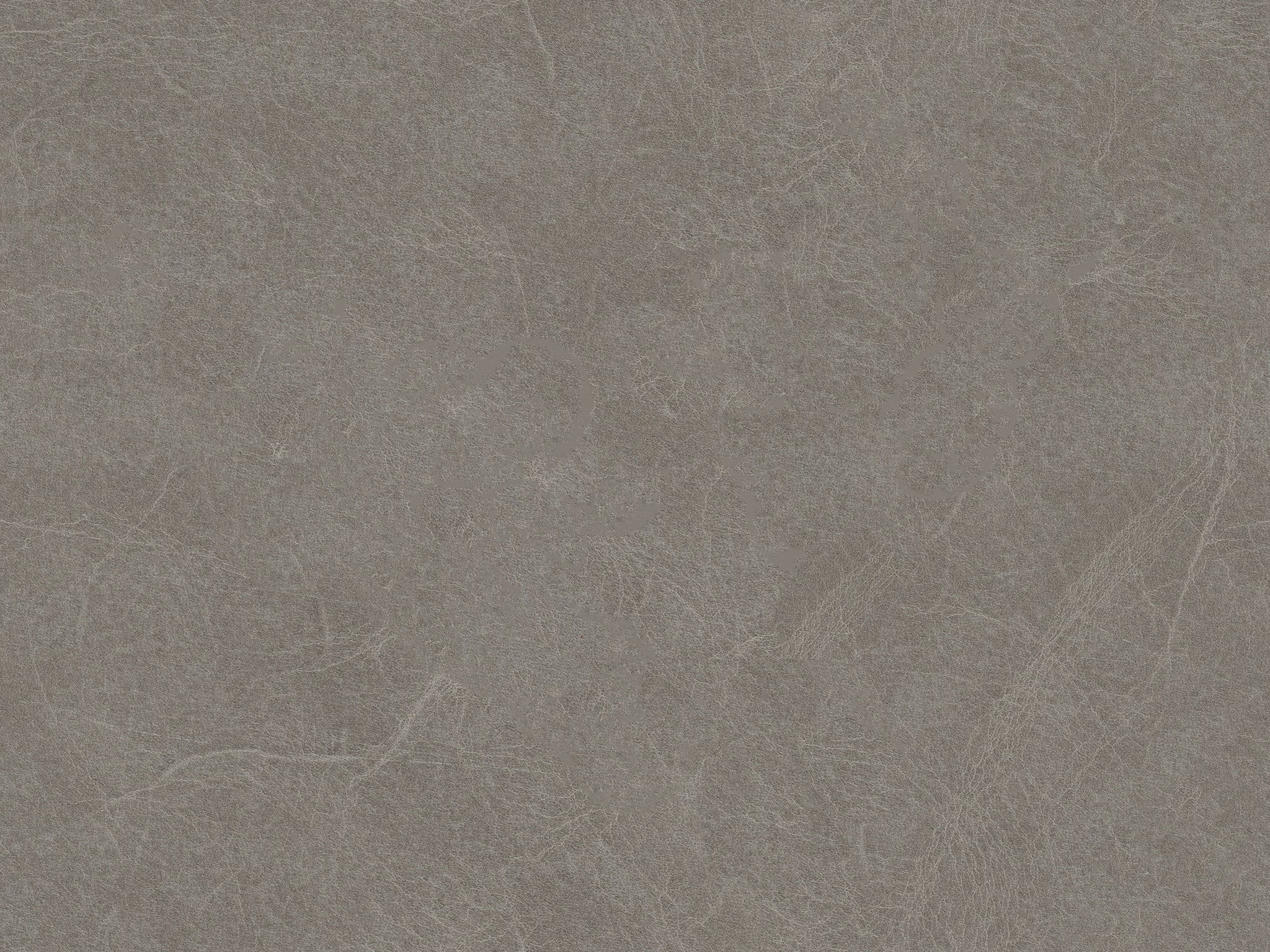 BILTMORE ASH GRAY