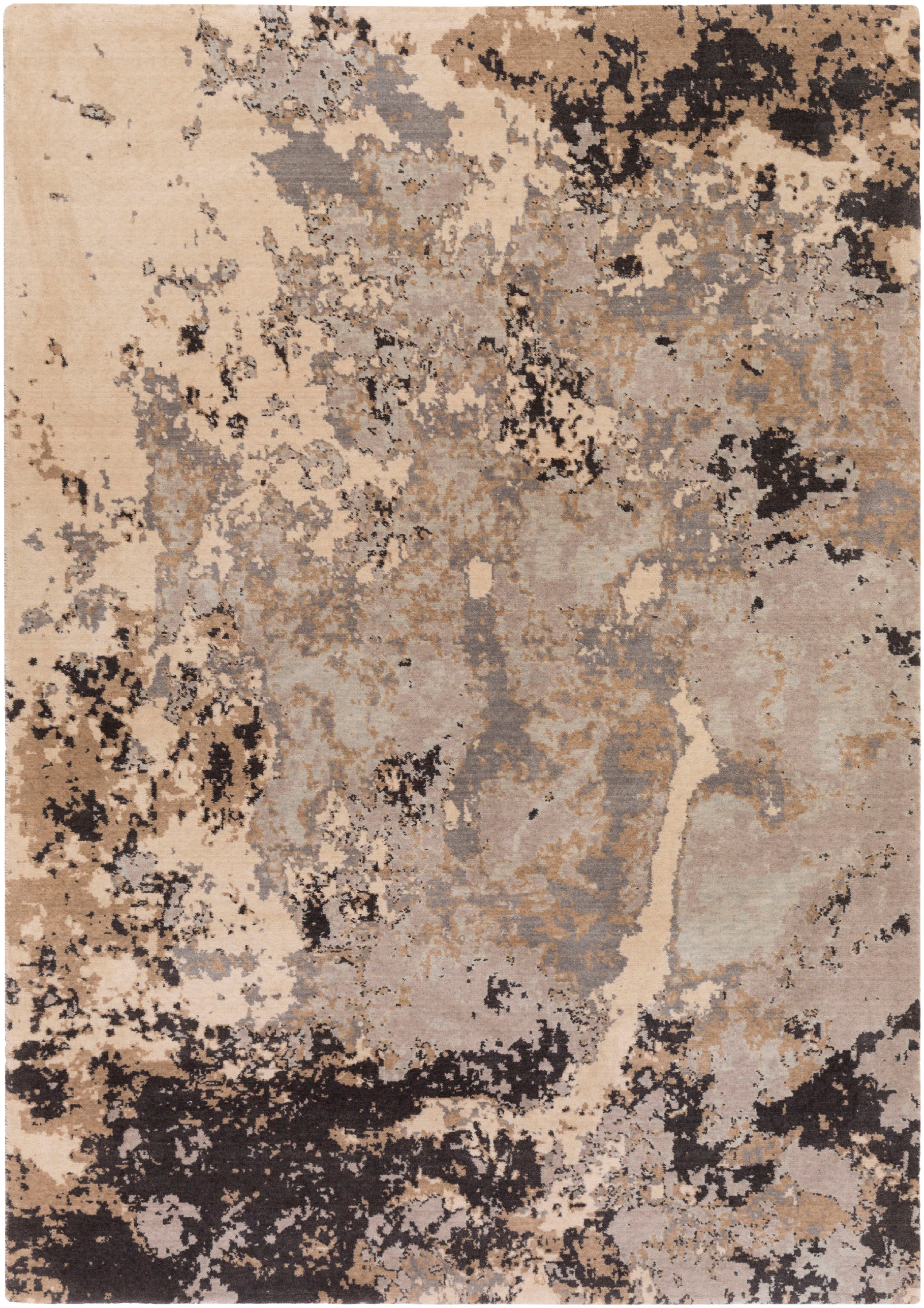 ANM1007-5376