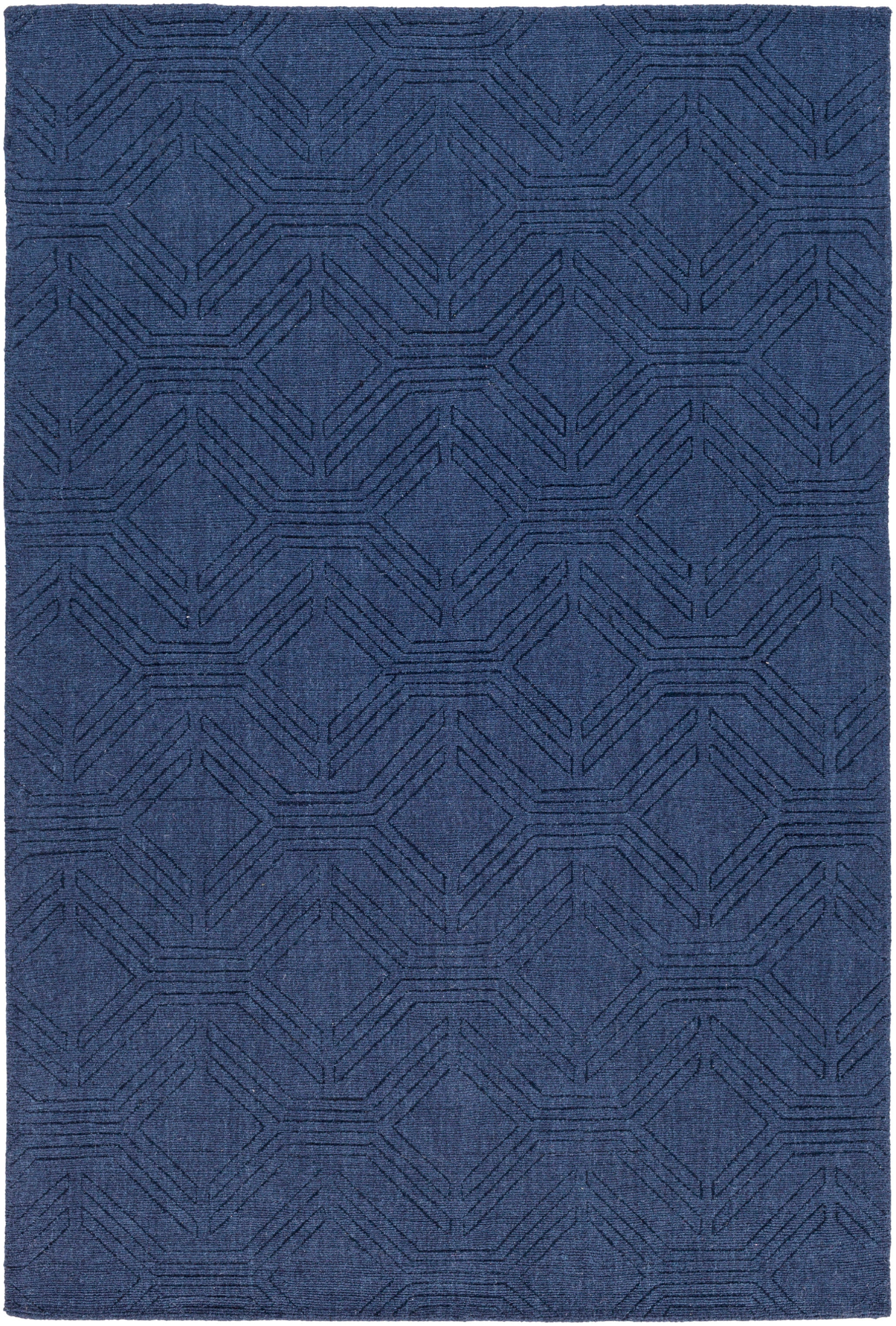 ASL1009-576