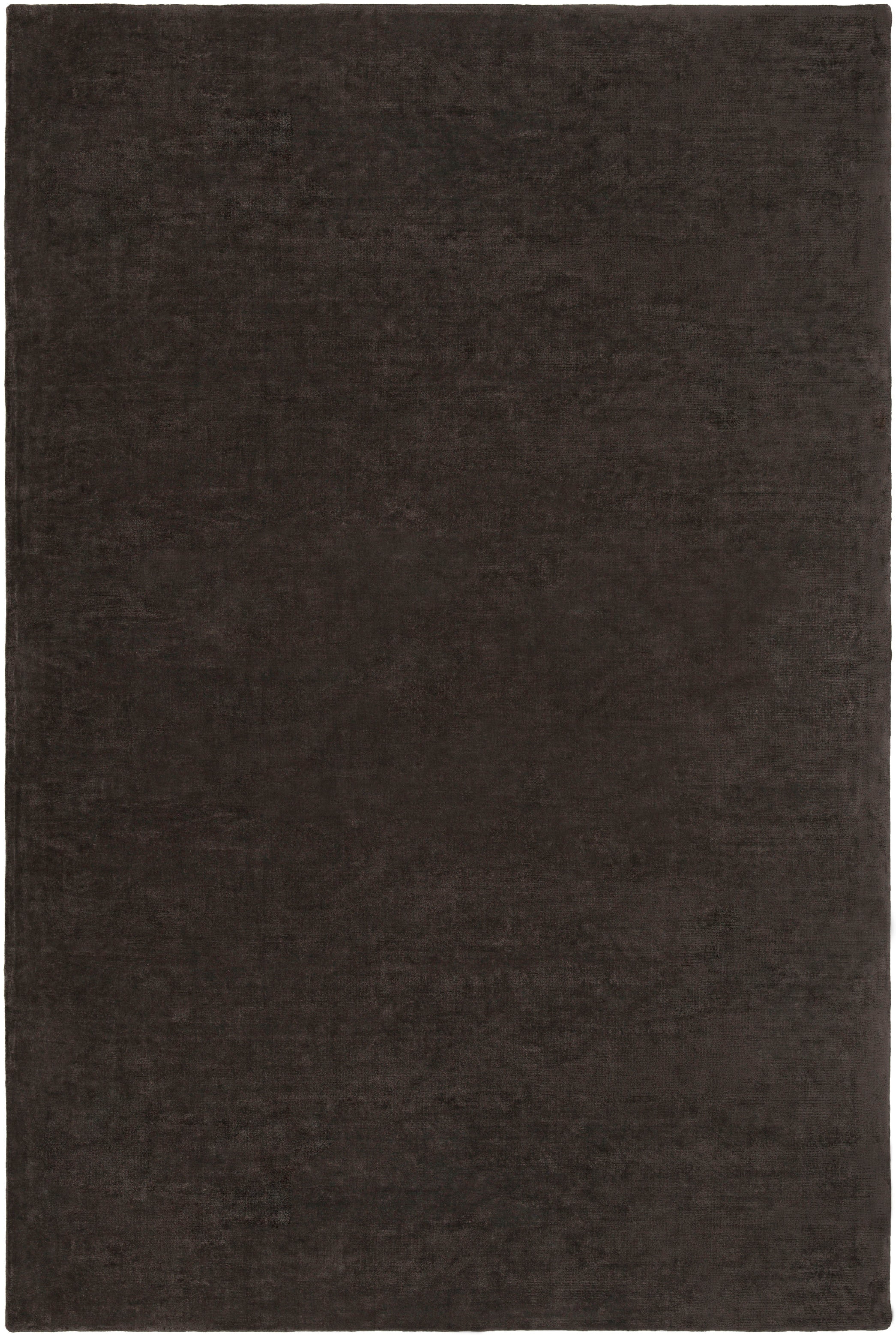 BLL3006-576