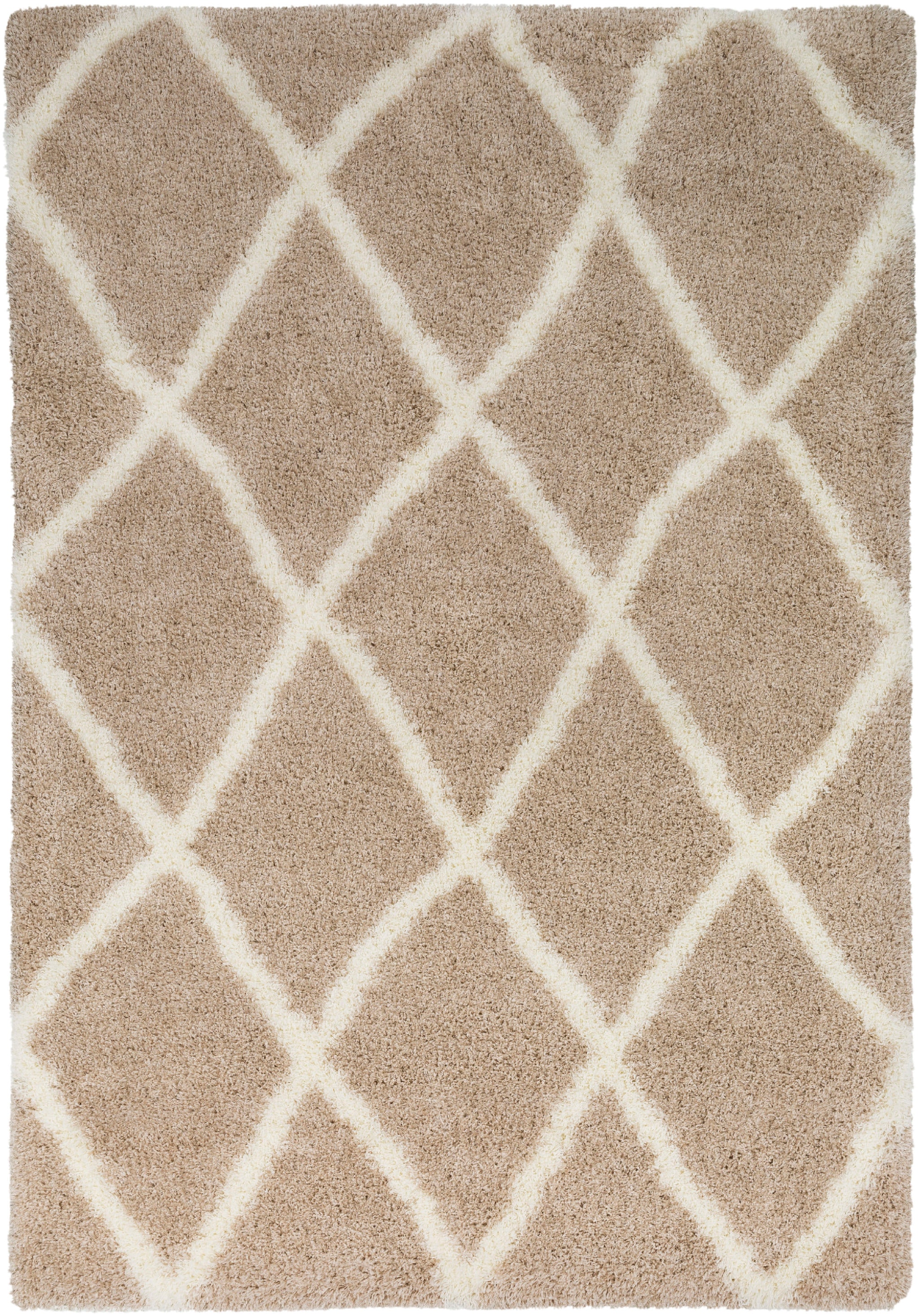 Surya Cloudy Shag Area Rug CYS3403
