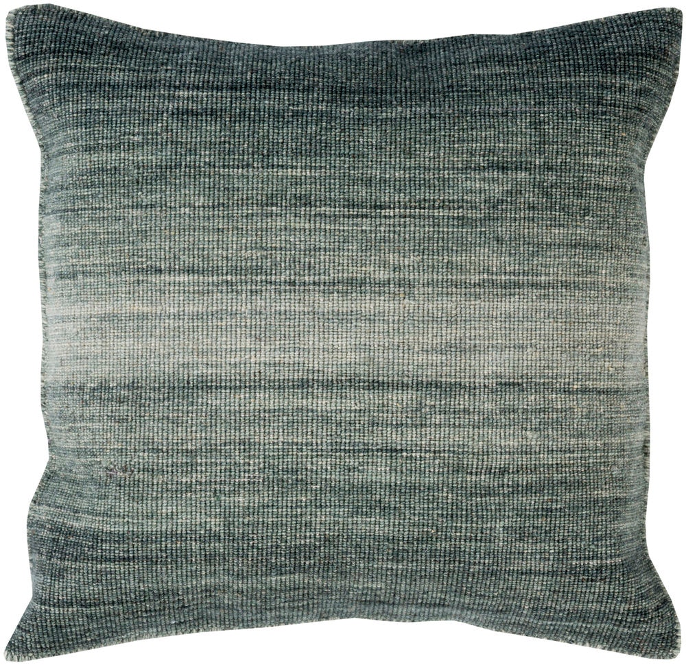 Surya Chaz 22 x 22 x 5 Throw Pillow CZ003-2222D