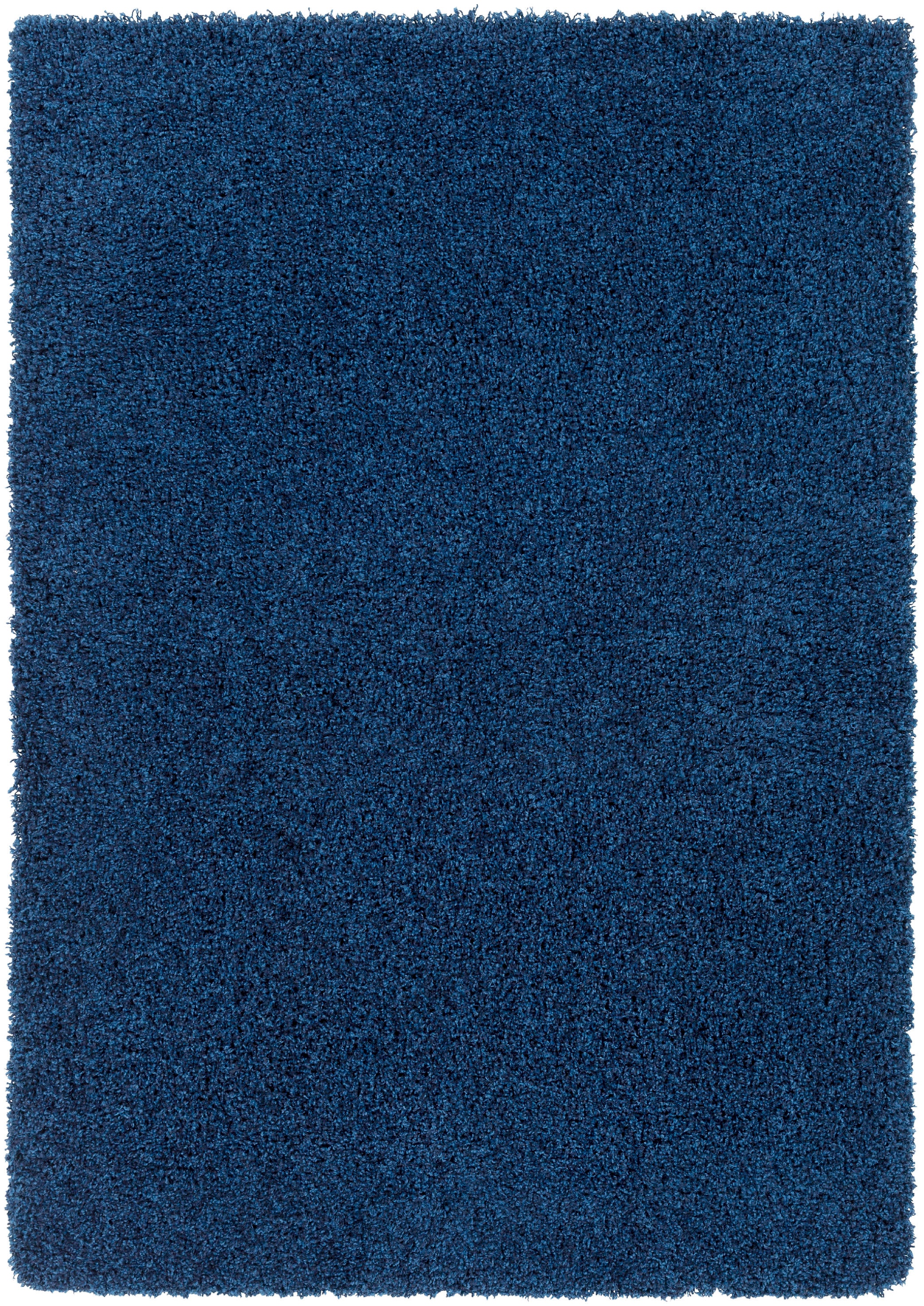 Surya Galaxy Shag Area Rug GYS4503