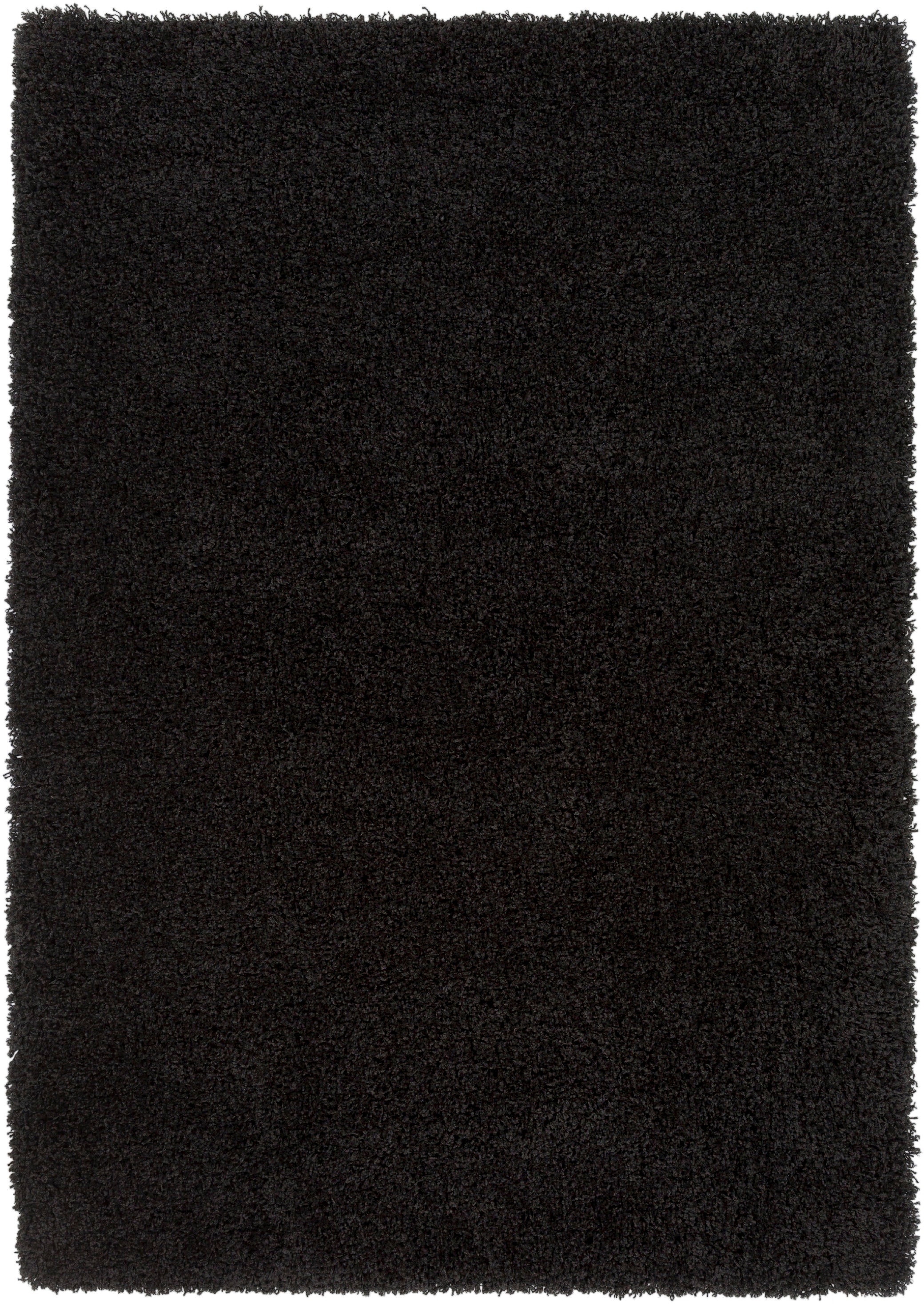 Surya Galaxy Shag Area Rug GYS4504