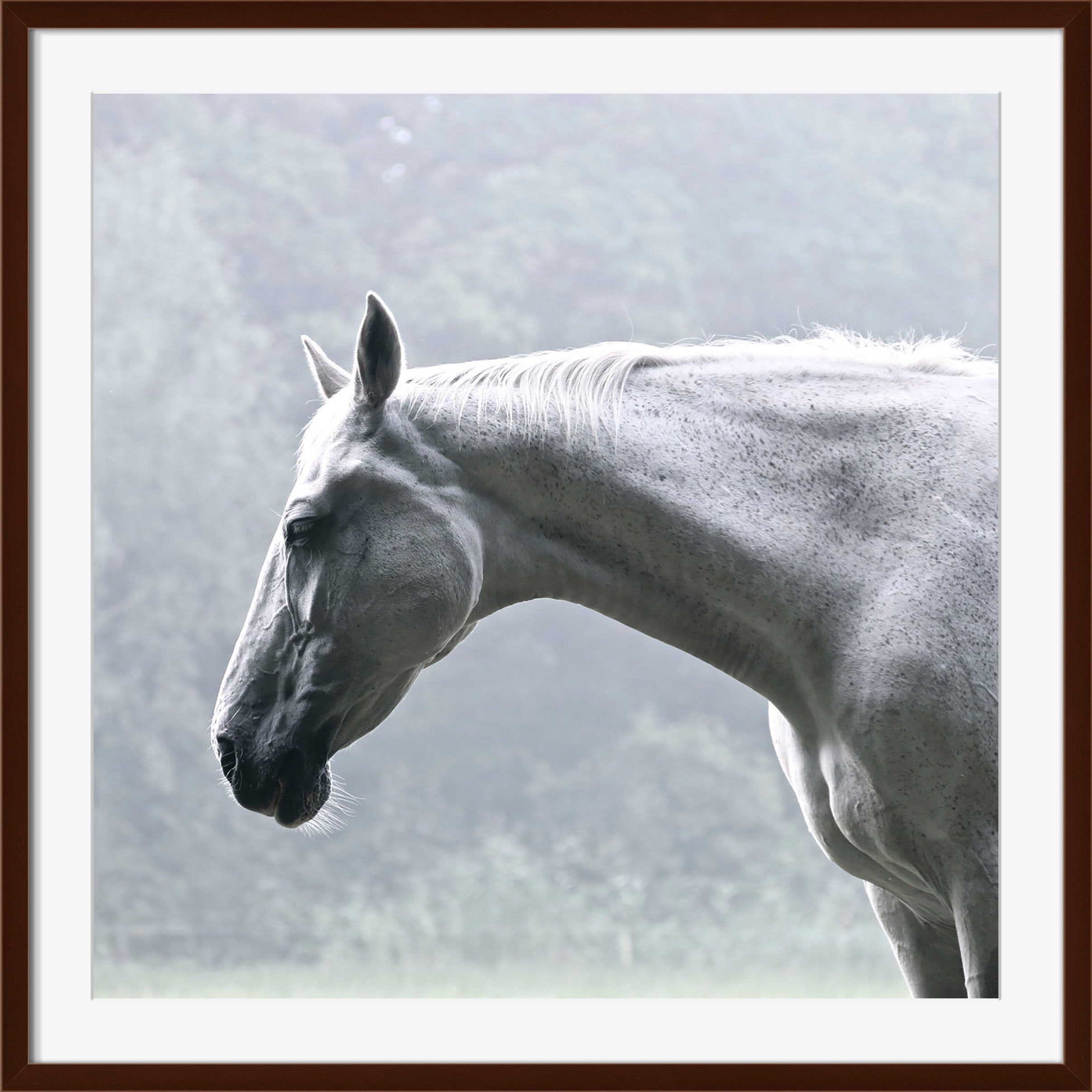 Surya Powder - Wall Art HE108A-001