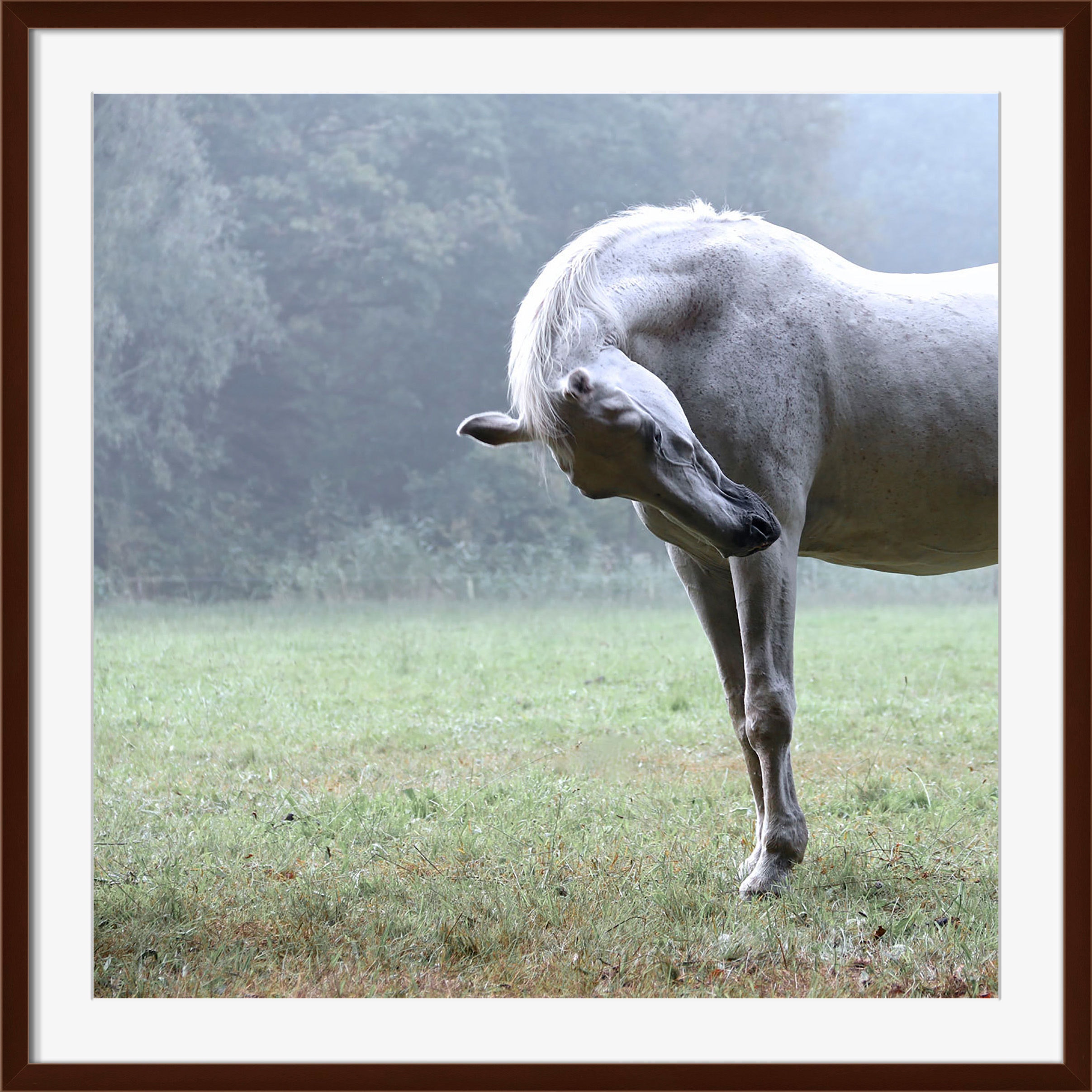 Surya Arch - Wall Art HE109A-001