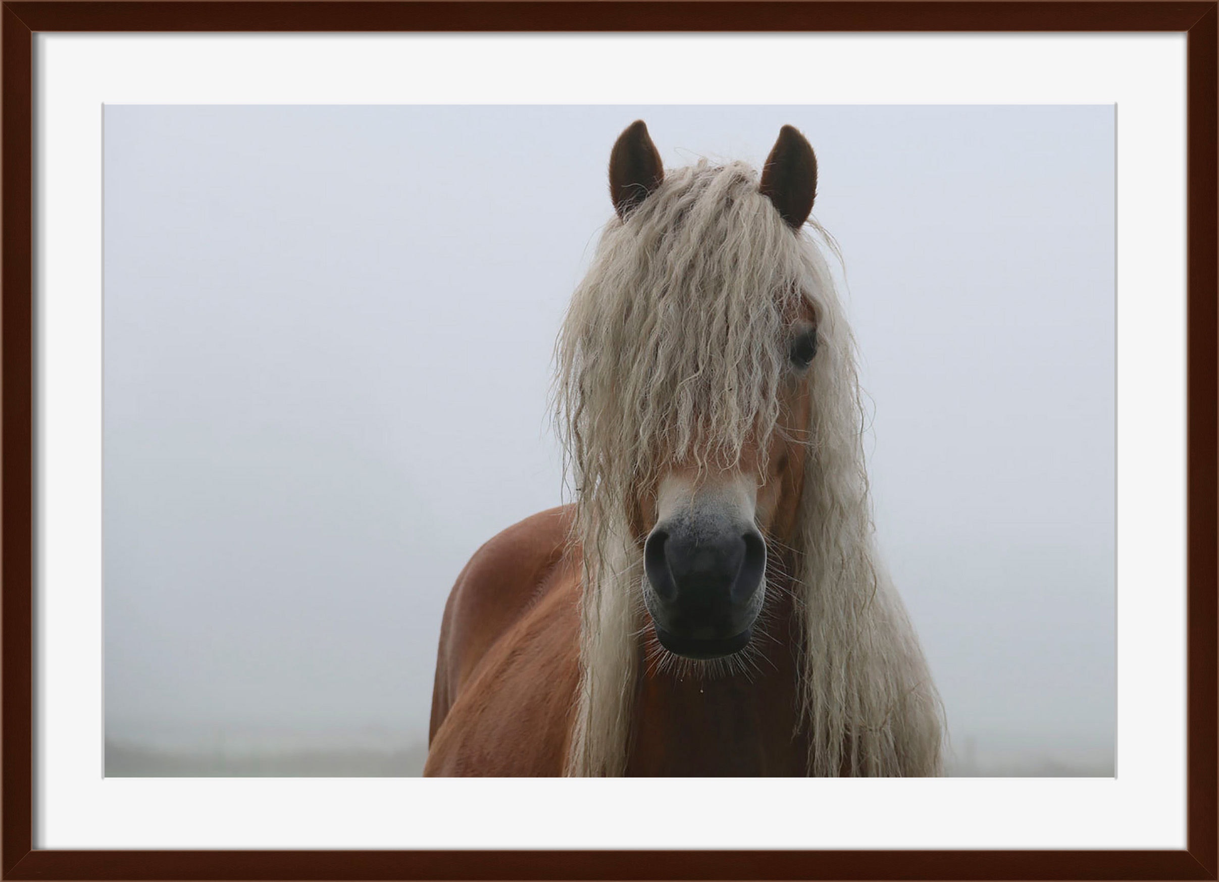Surya Fringe - Wall Art HE110A-001
