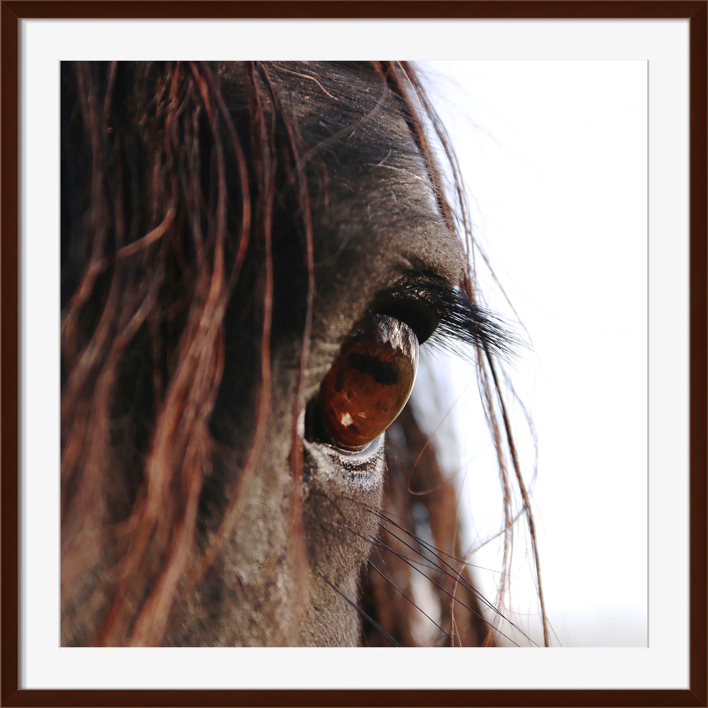 Surya Peeper - Wall Art HE132A-001