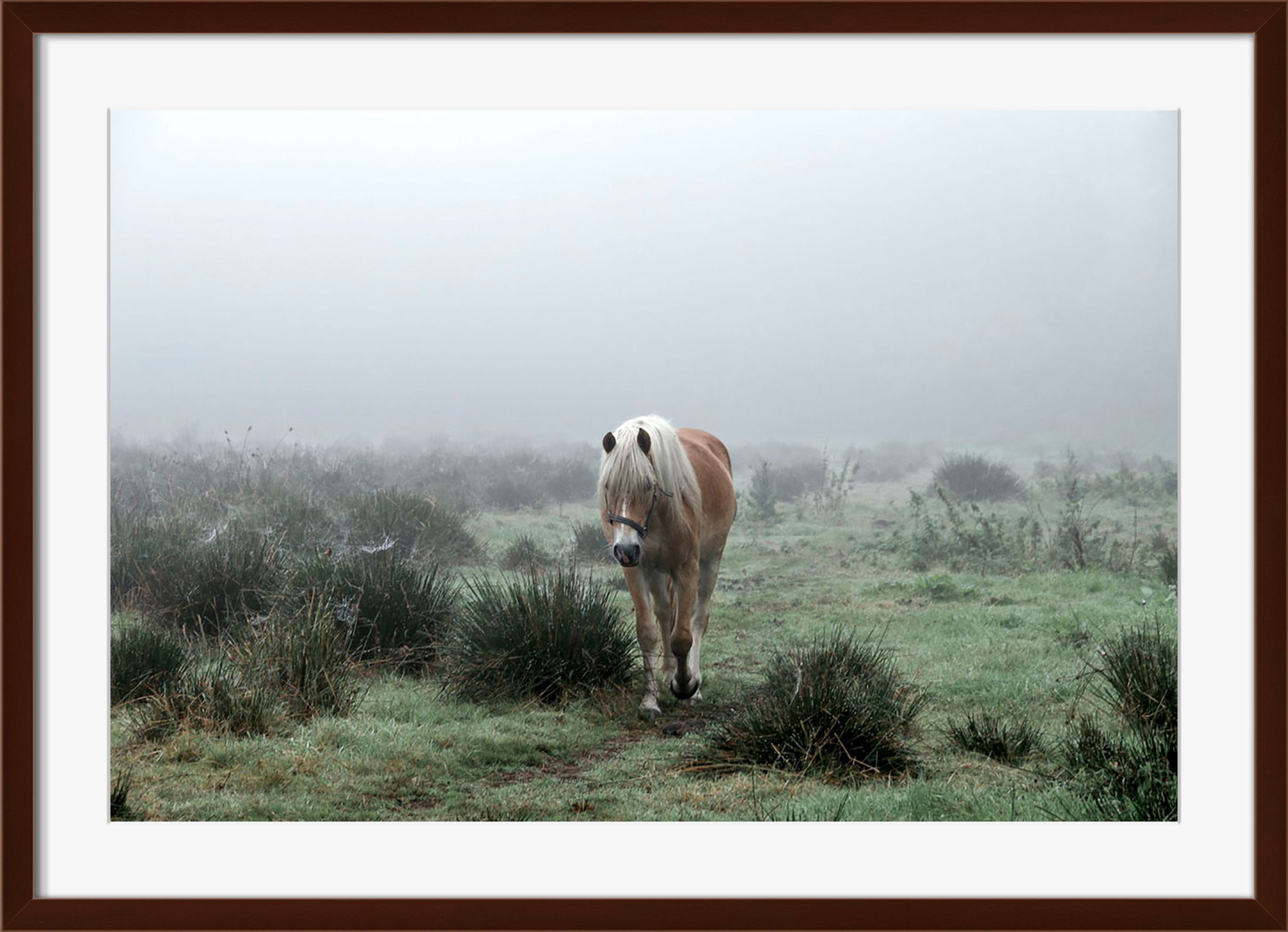 Surya Lonesome Journey - Wall Art HE135A-001