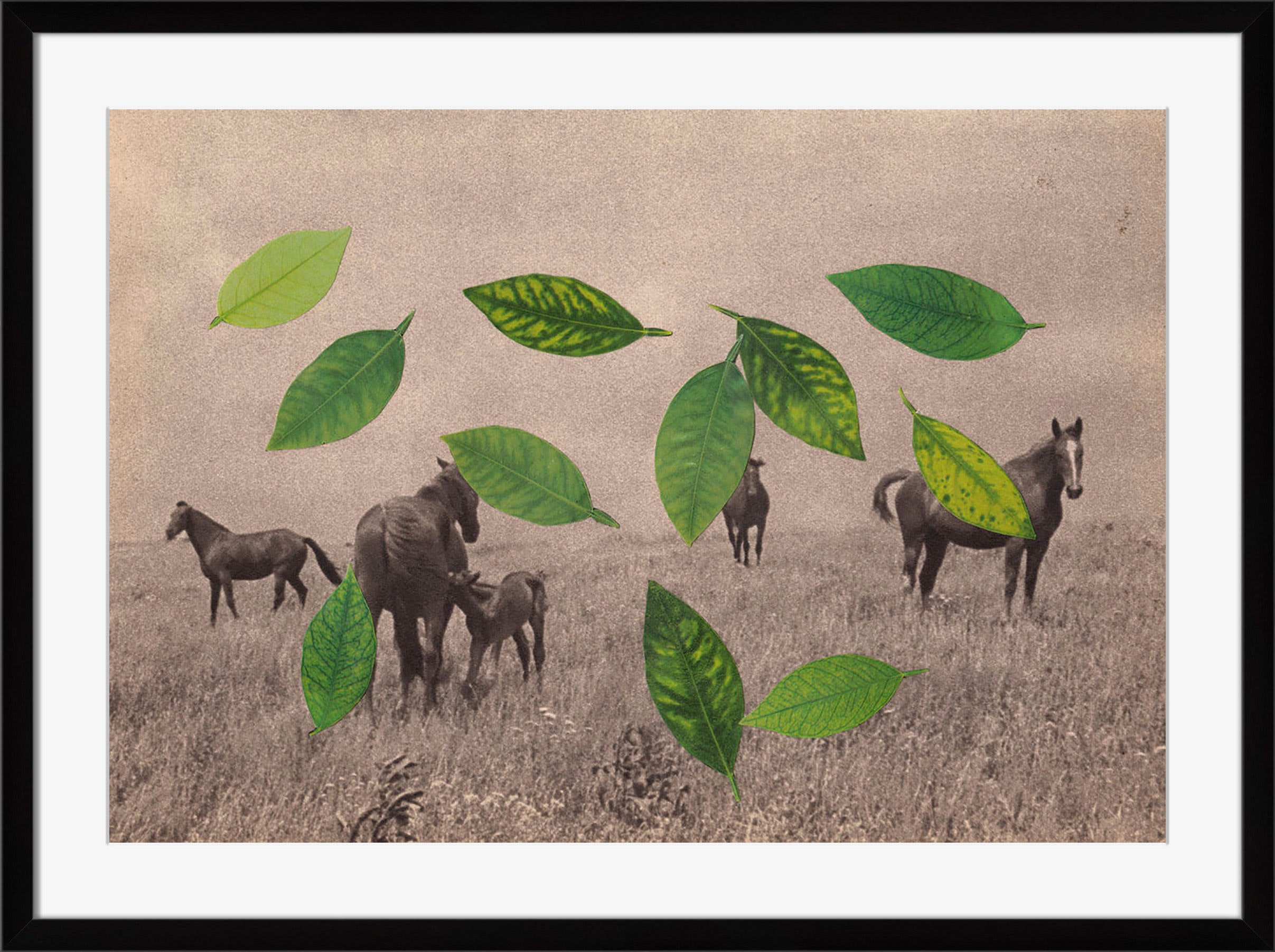 Surya Natives - Wall Art HK110A-001