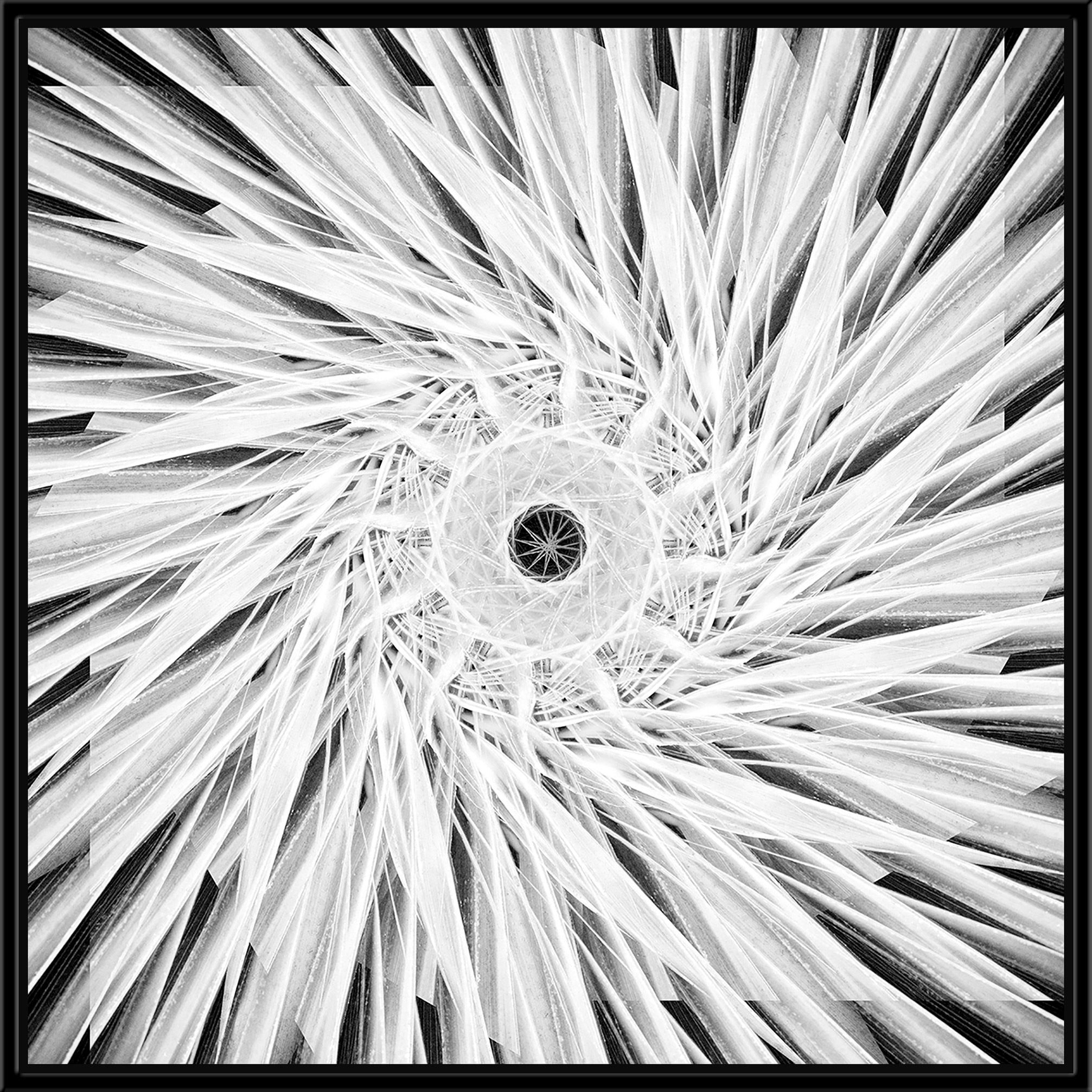 Surya Sacred Geometry I - Wall Art JZ100A-001