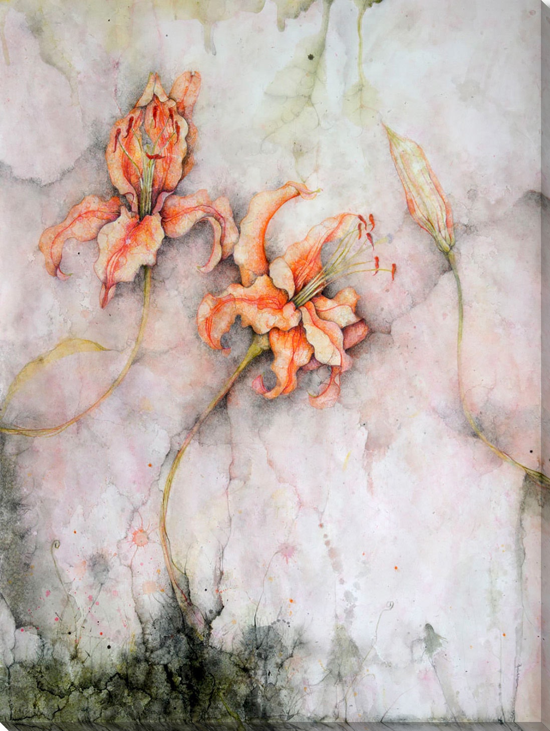 Surya Wild Song III - Wall Art MW102A-001