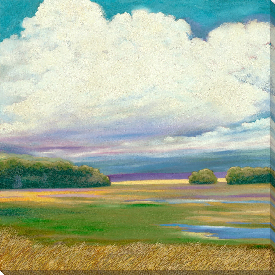 Surya Grass Field on a Cloudy Day - Wall Art MY111A-001