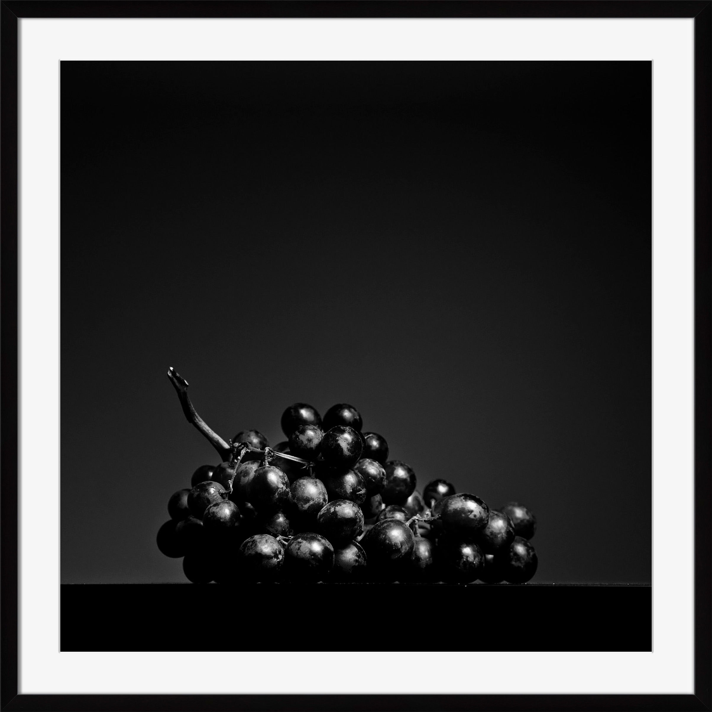 Surya Grapes - Wall Art OB118A-001