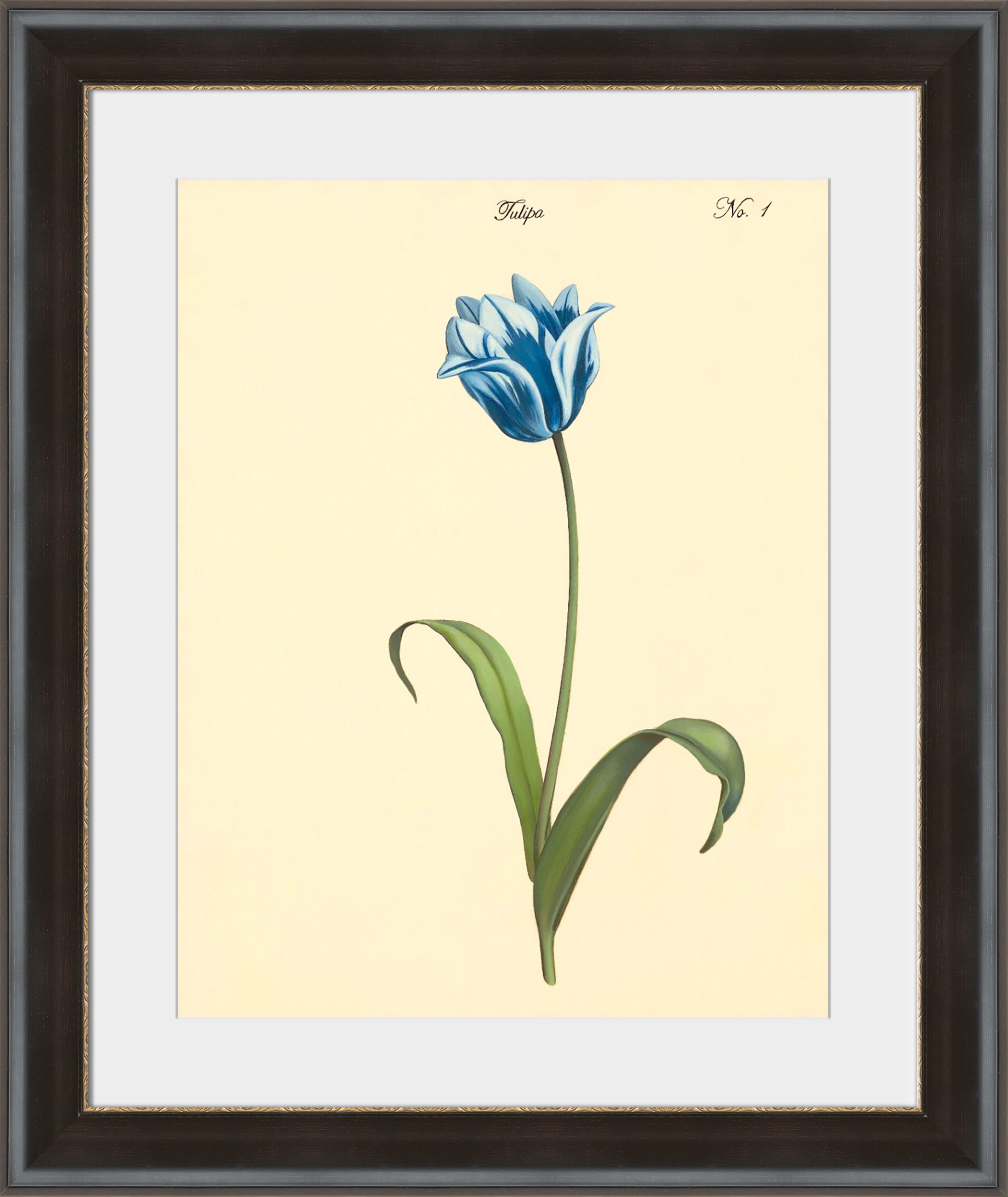 Surya Tulipa No.1 - 24" x 24" Wall Art PE110A002-2424