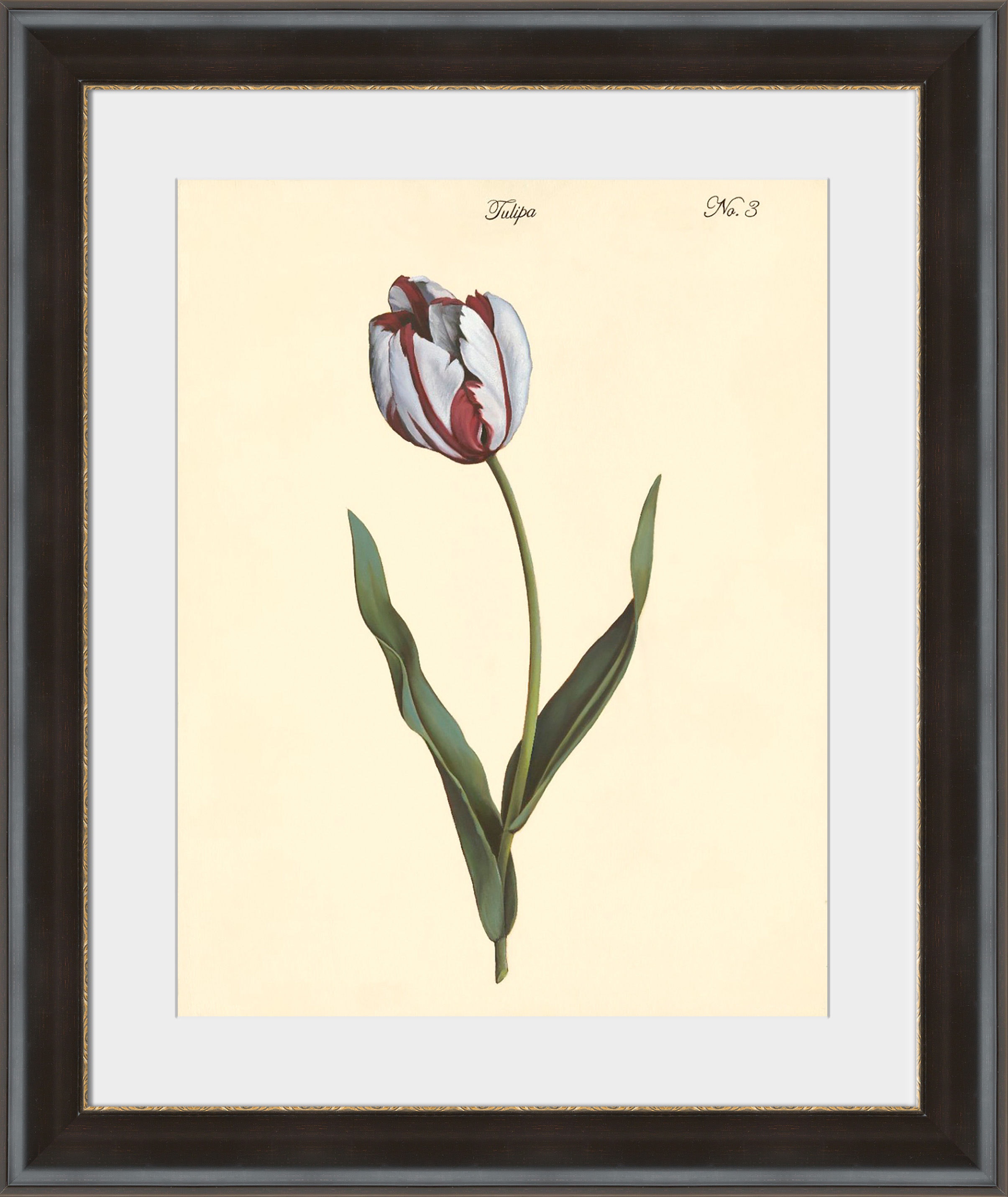 Surya Tulipa No.3 - 24" x 24" Wall Art PE111A002-2424