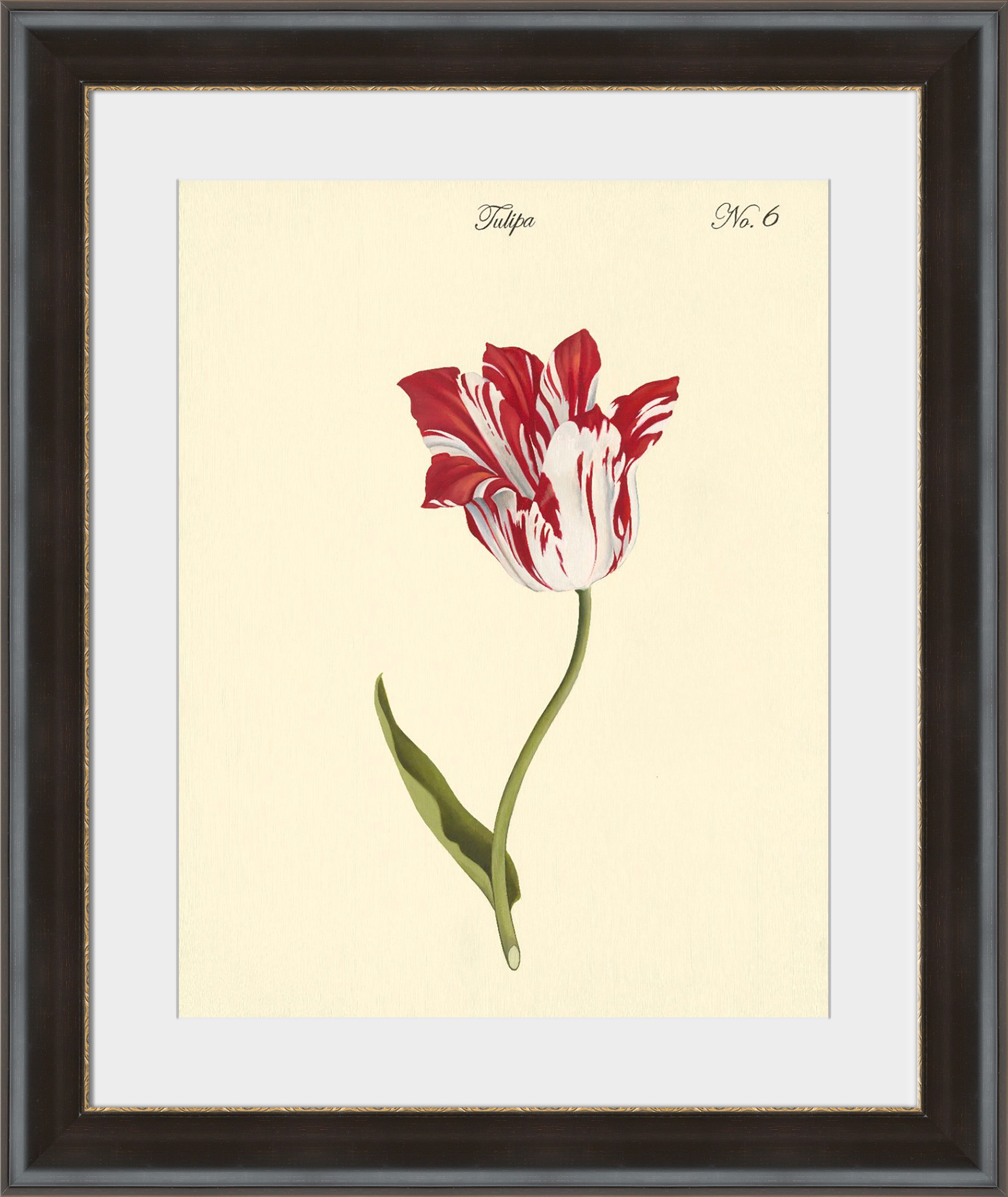 Surya Tulipa No.6 - Wall Art PE112A-001