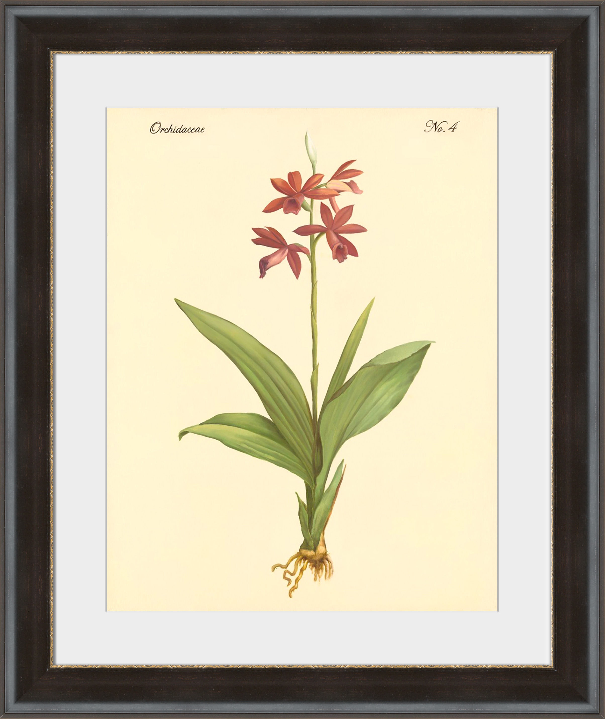 Surya Orchidaceae No.4 - Wall Art PE113A-001