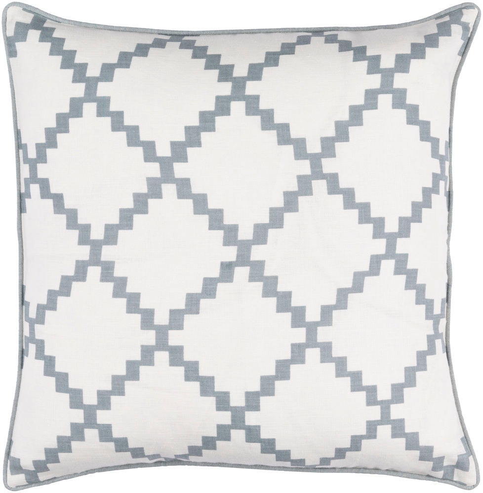 Surya Parsons 20 x 20 x 4 Throw Pillow PR003-2020D