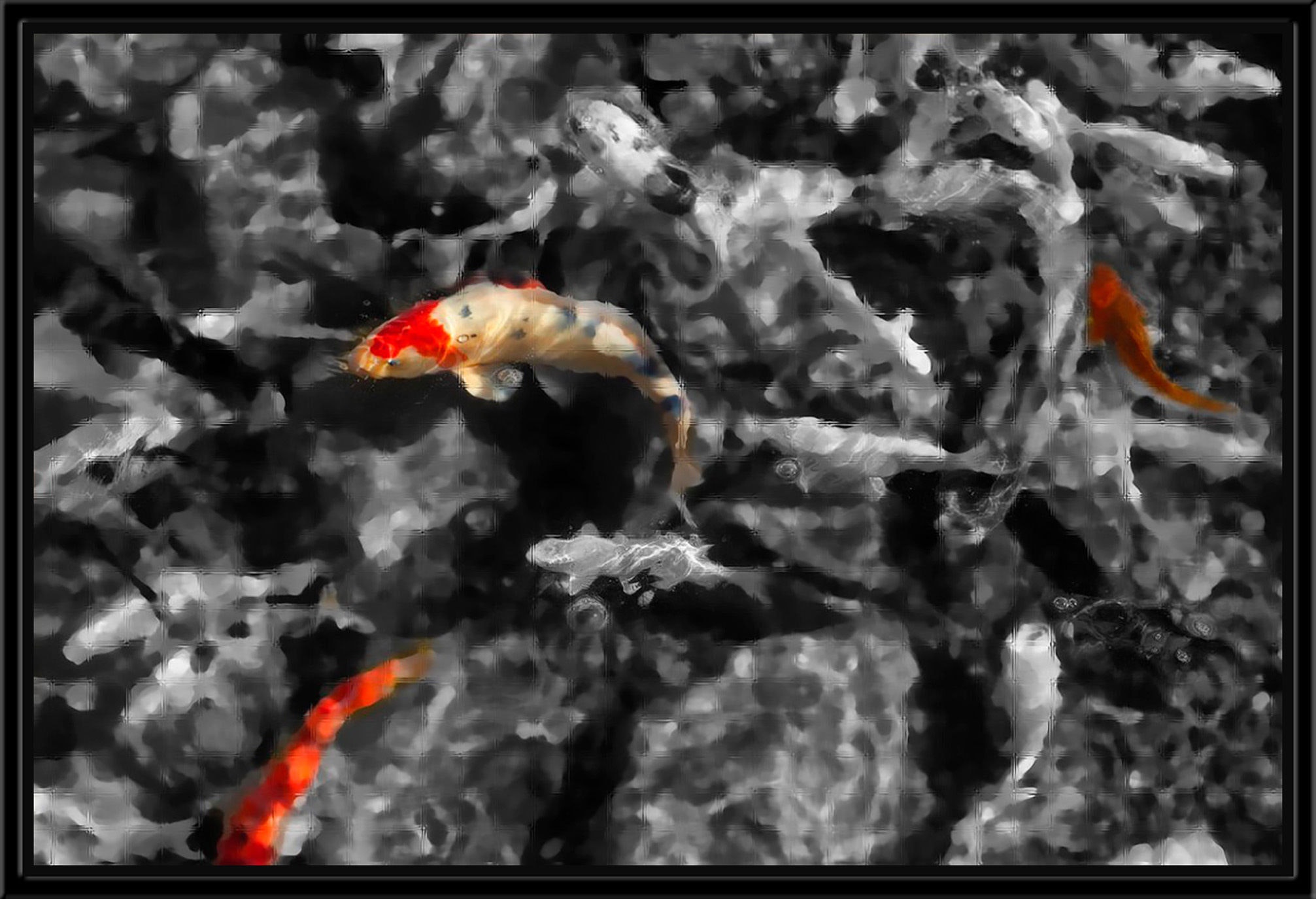 Surya Coy Koi - Wall Art SC113A-001
