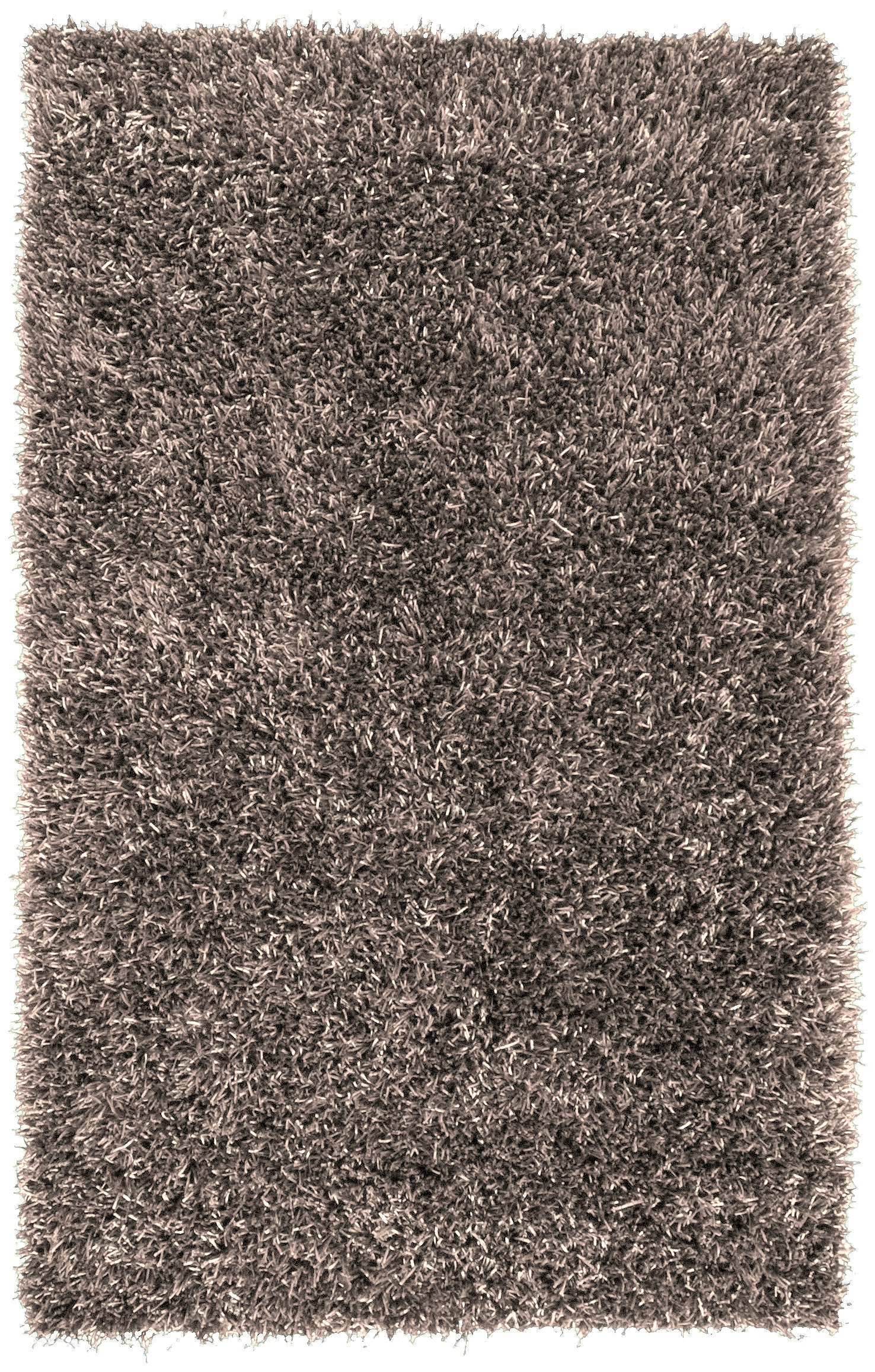 Camel SHI5001-58