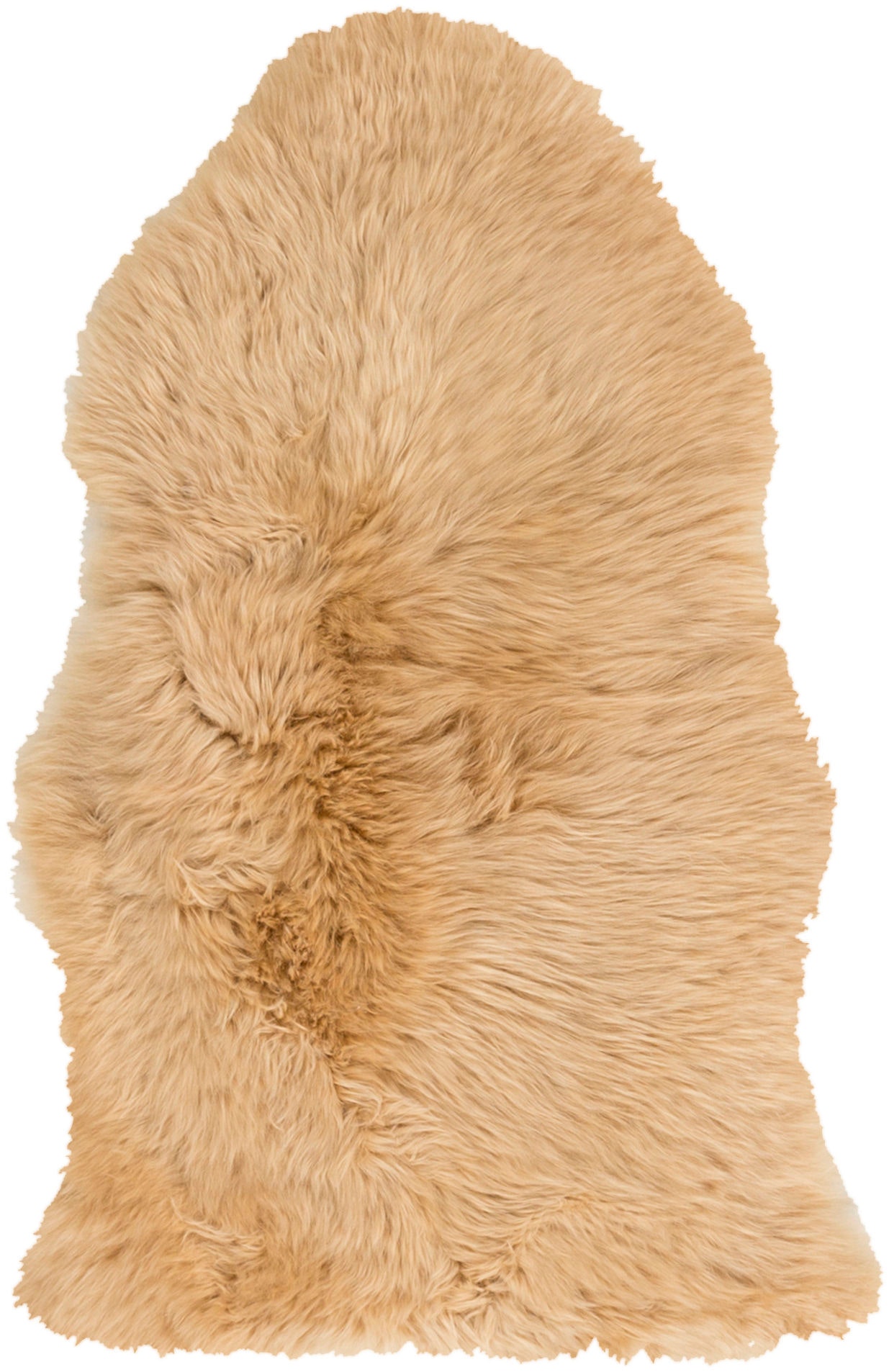 SHS9601-23