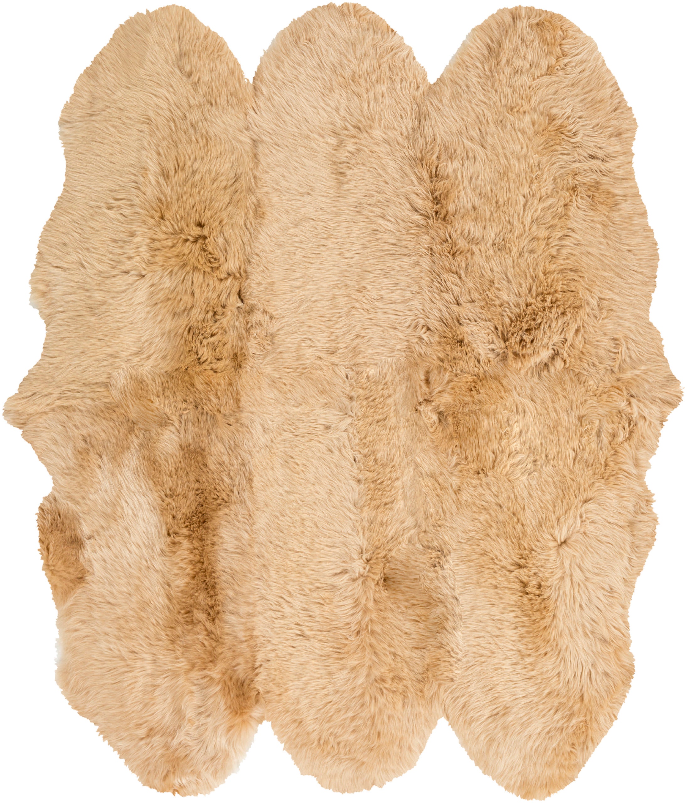SHS9601-6SQ