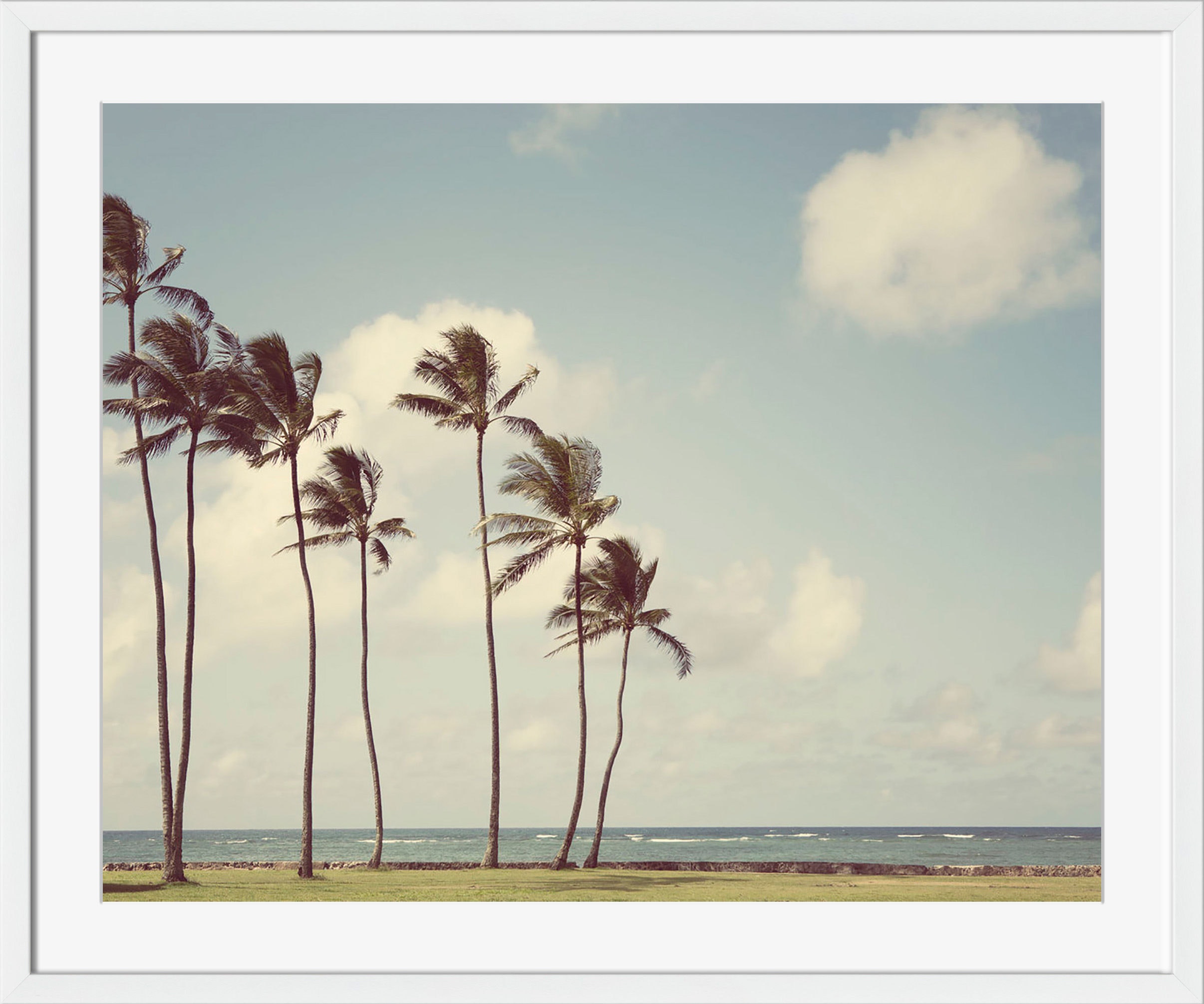 Surya Tropicalia - Wall Art SI106A-001