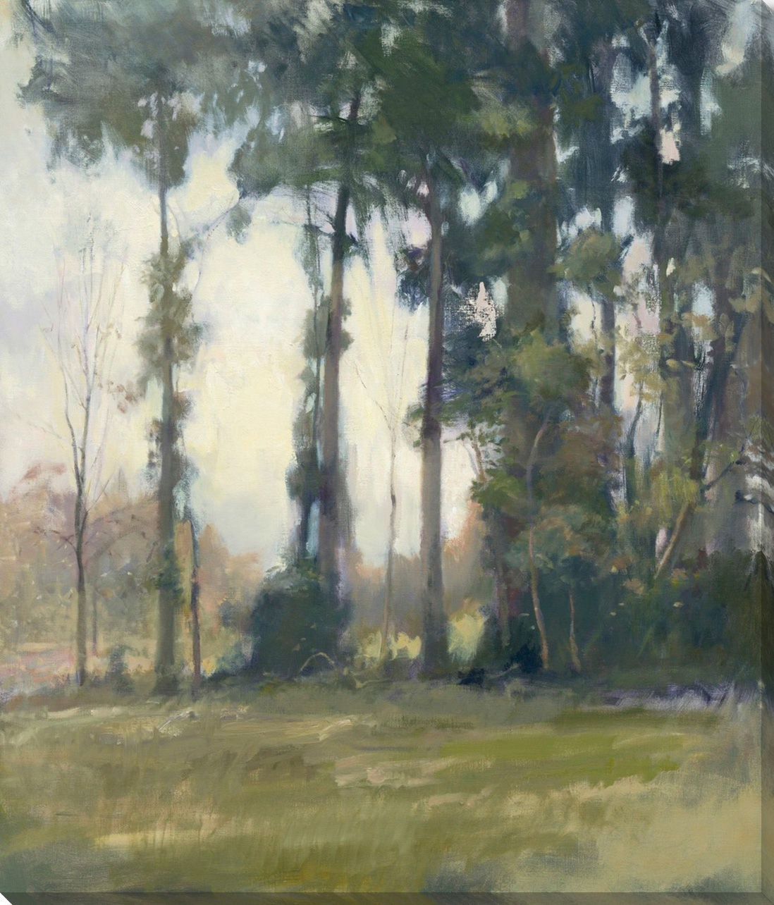 Surya Woods Edge I - Wall Art SP118P-001