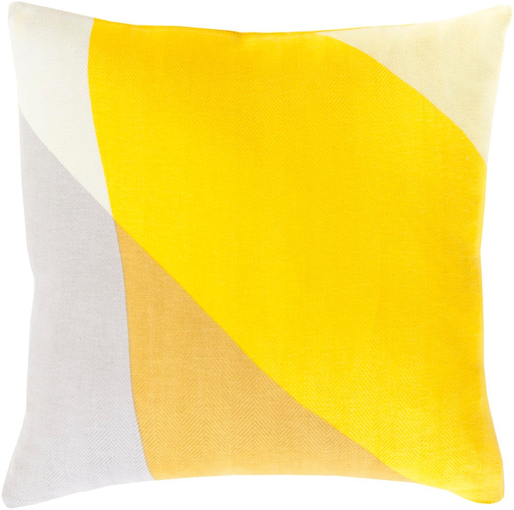 Surya Teori 20 x 20 x 4 Throw Pillow TO008-2020D