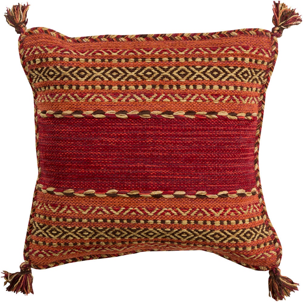 Surya Trenza 22 x 22 x 5 Throw Pillow TZ003-2222D