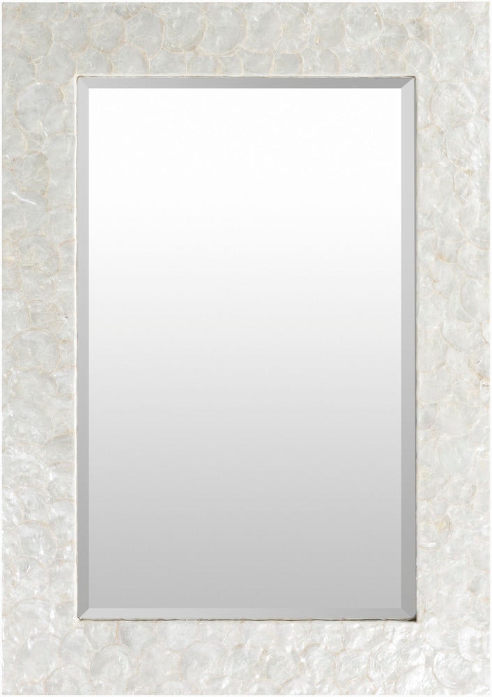 Surya Whitaker 40 x 28 x 1 Mirror WTK-7203