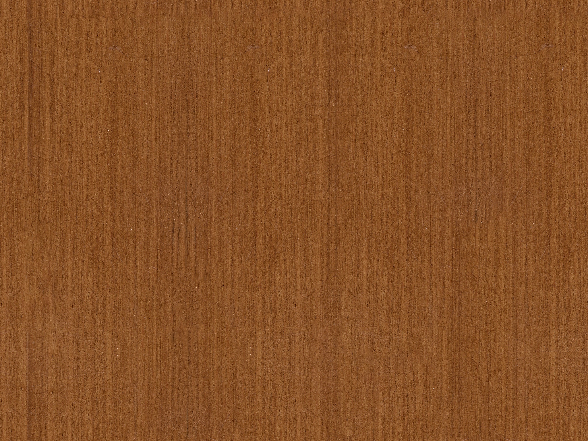 pecan