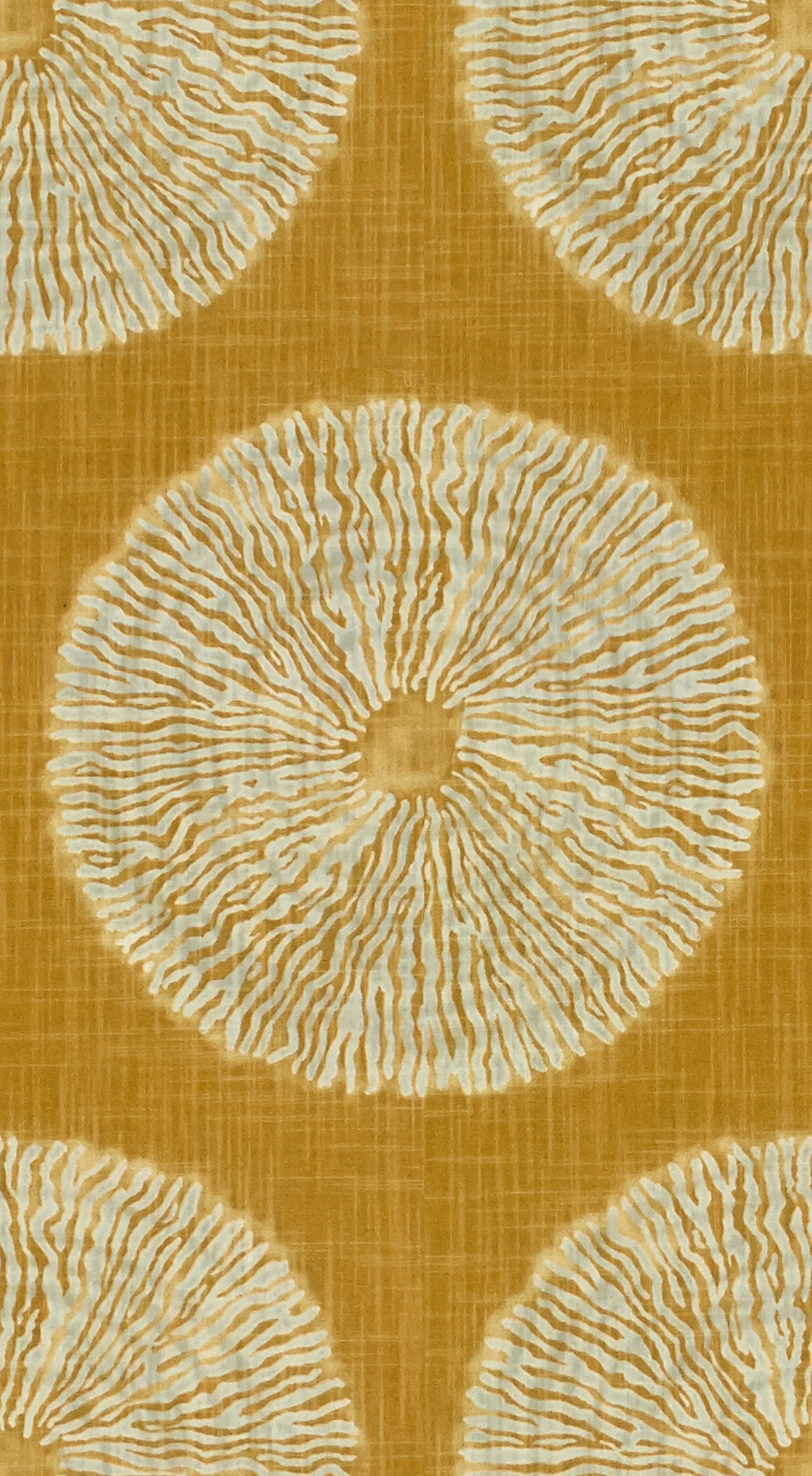 1C446-2