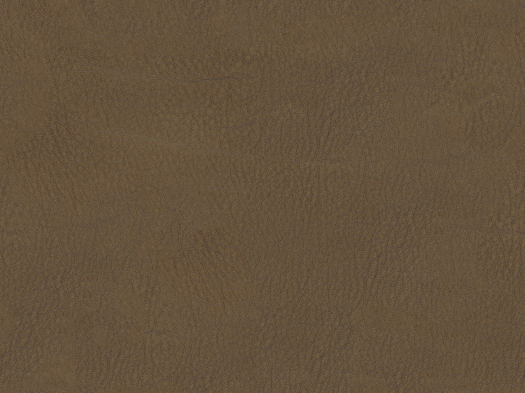 Alfresco Sepia 1k