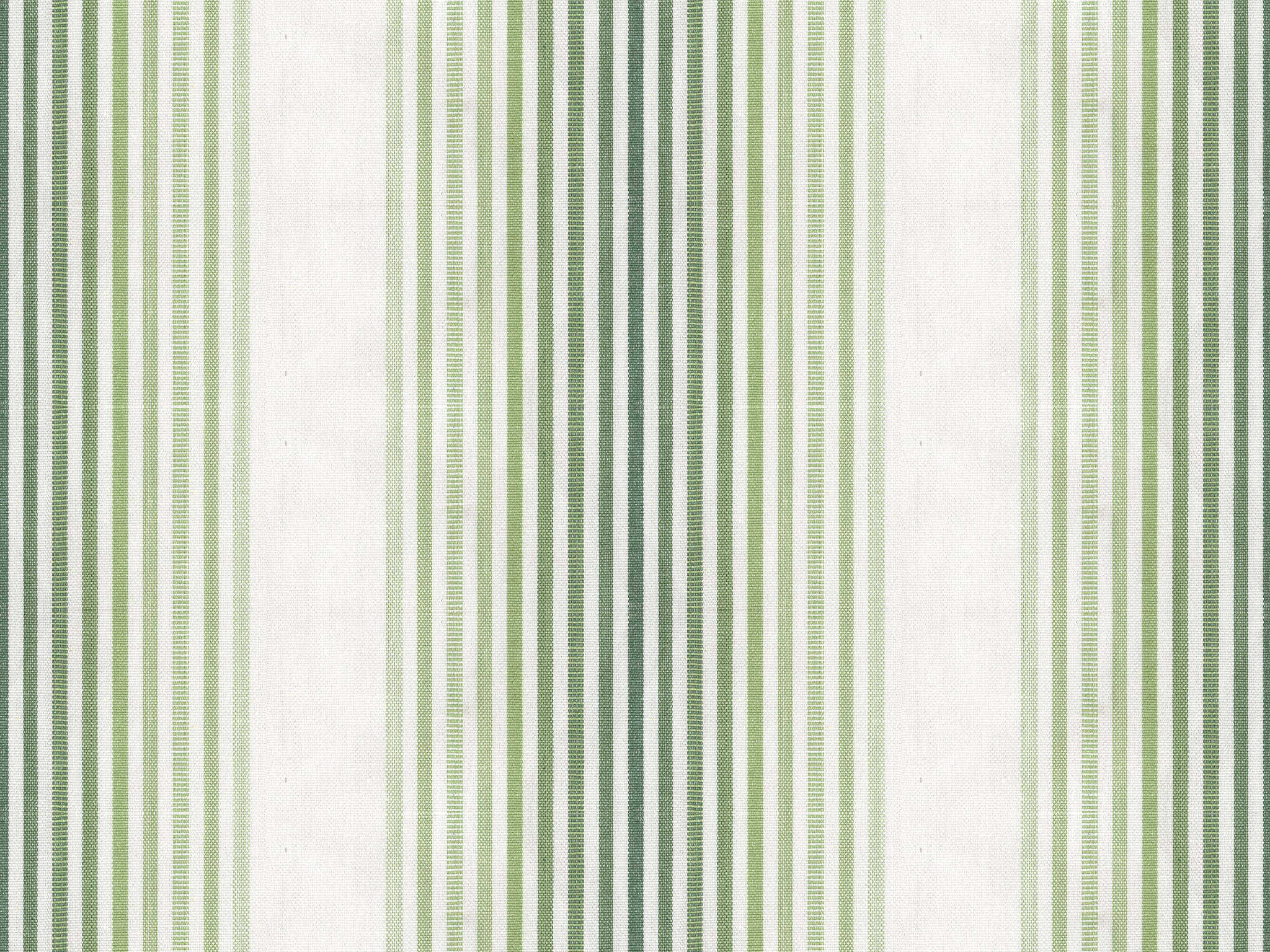 TIVOLI STRIPE PALM