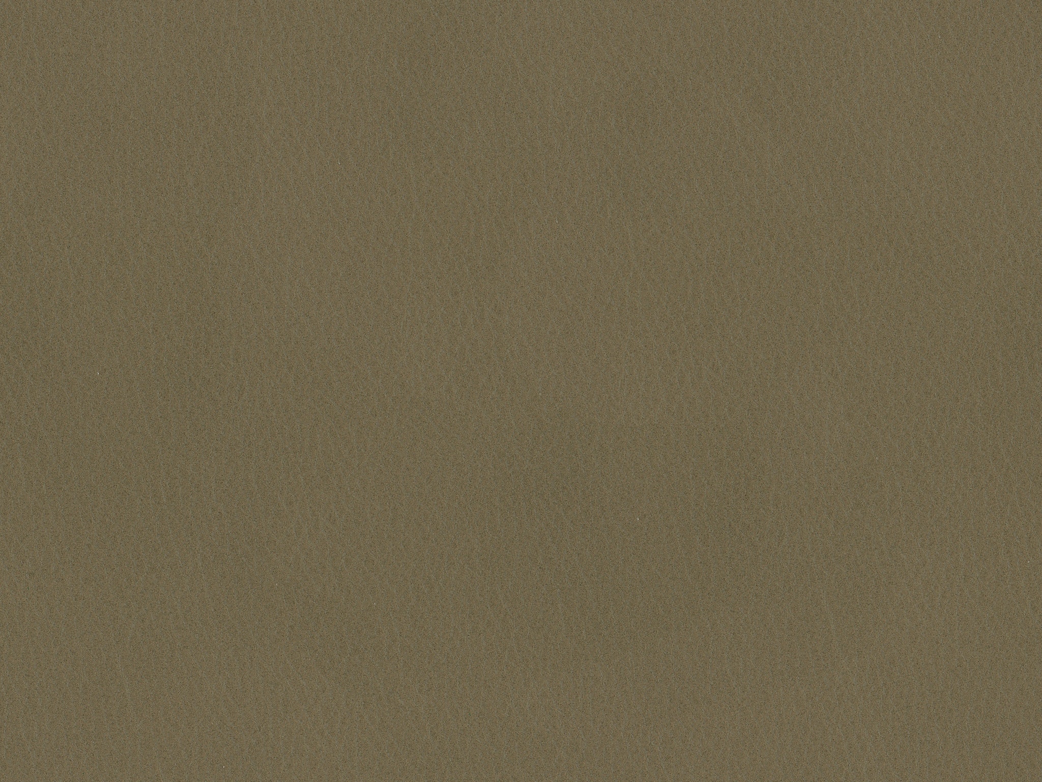 FIORE-10