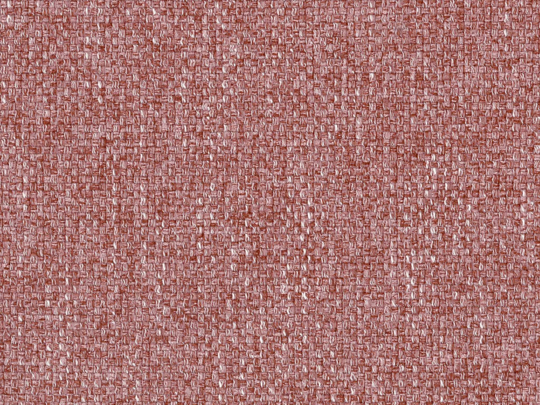 29EC-ED ROSE