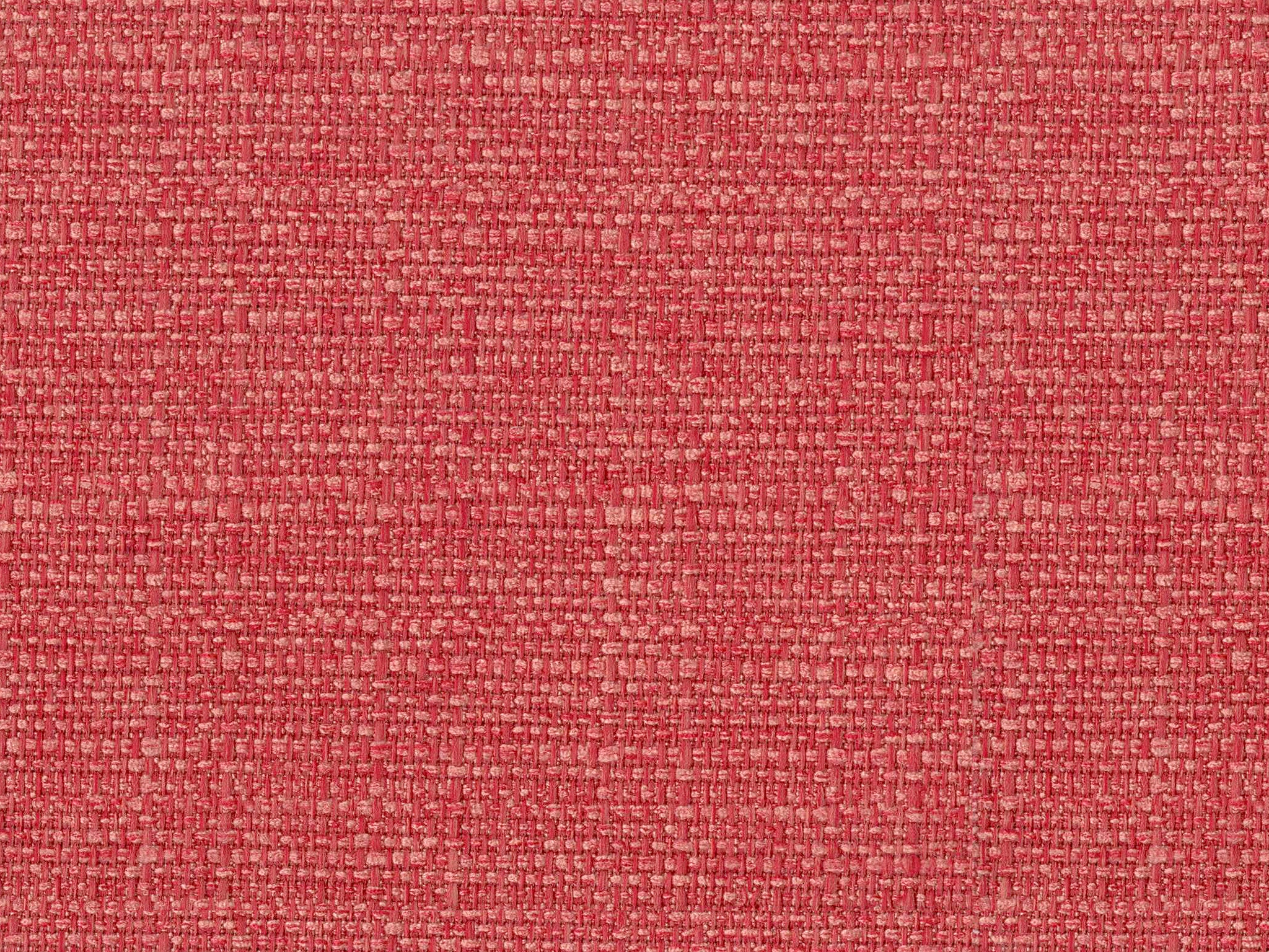 31IF-ED CORAL