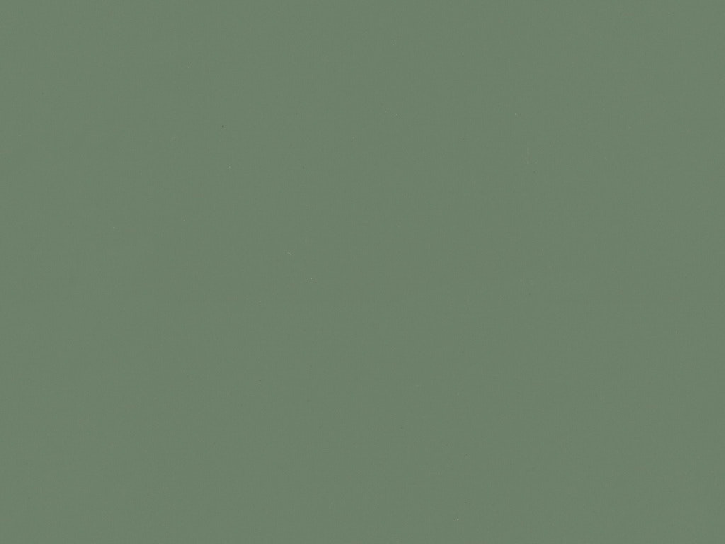 Aged Paints AG05 AGED MOSS