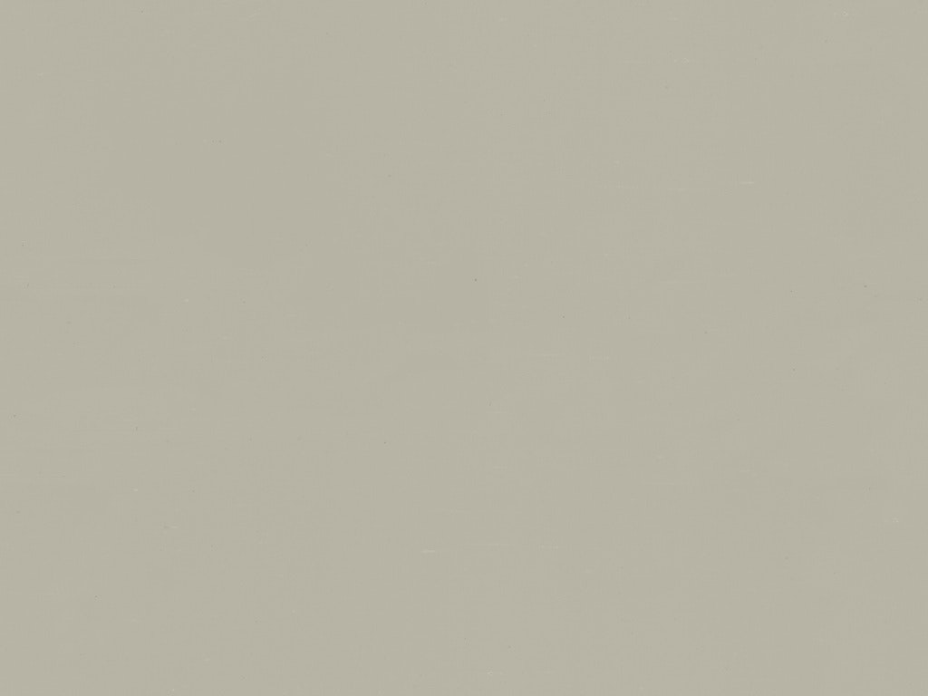 Aged Paints AG24 AGED DRIFTWOOD