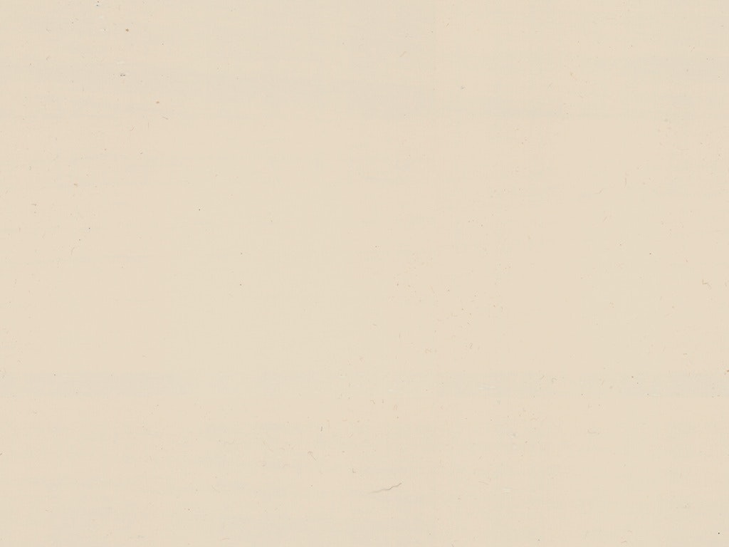 Aged Paints AG41 AGED BLEACHED WHITE