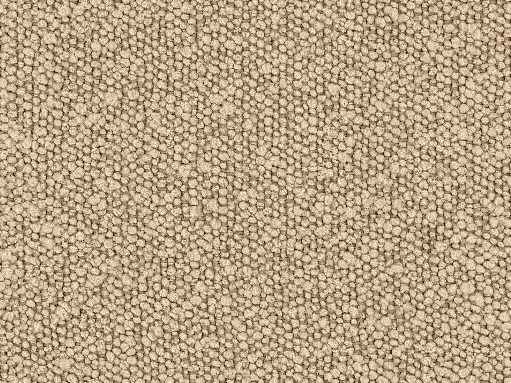 Boucle - SANDSTONE