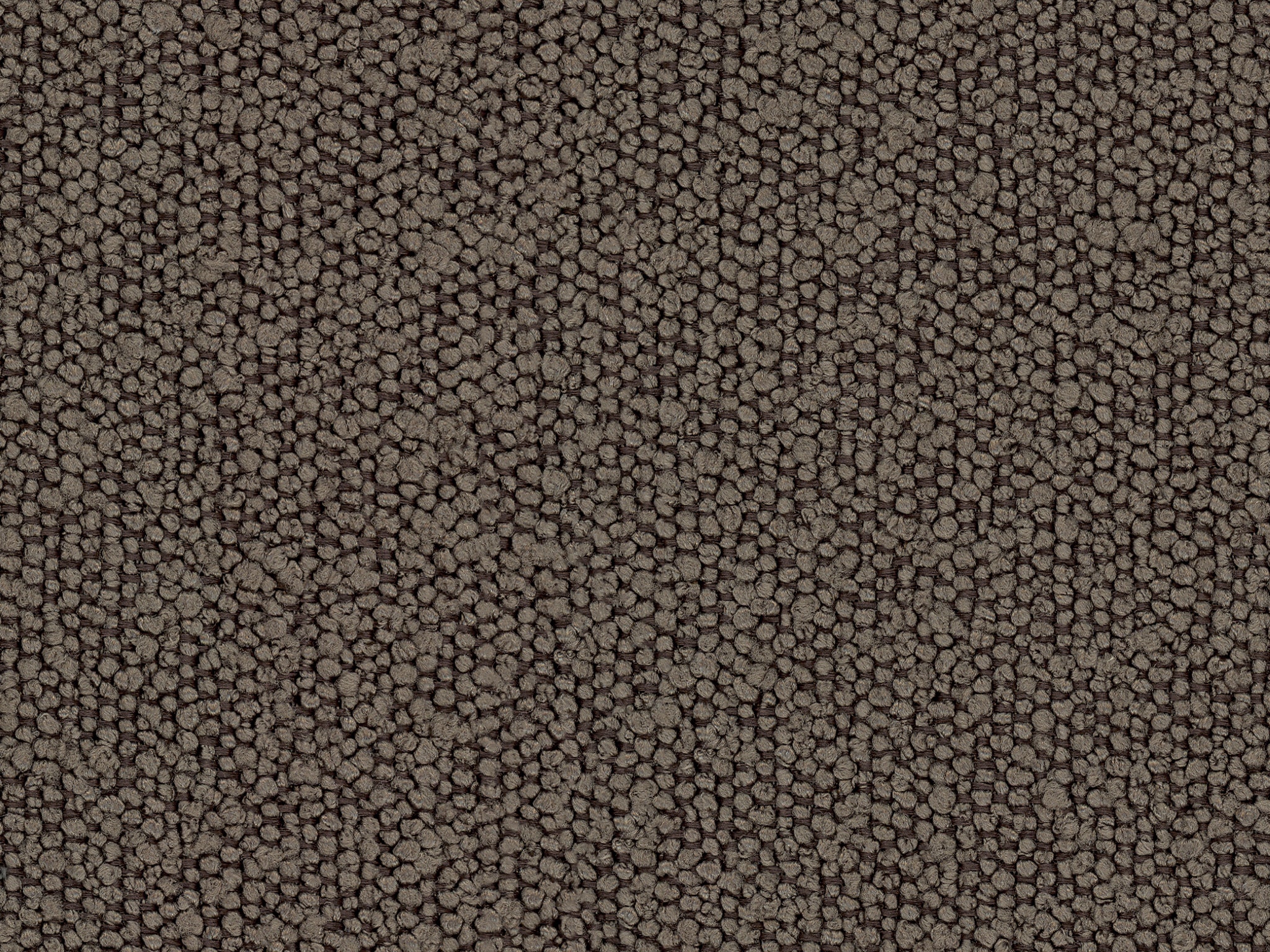 Boucle - SEPIA