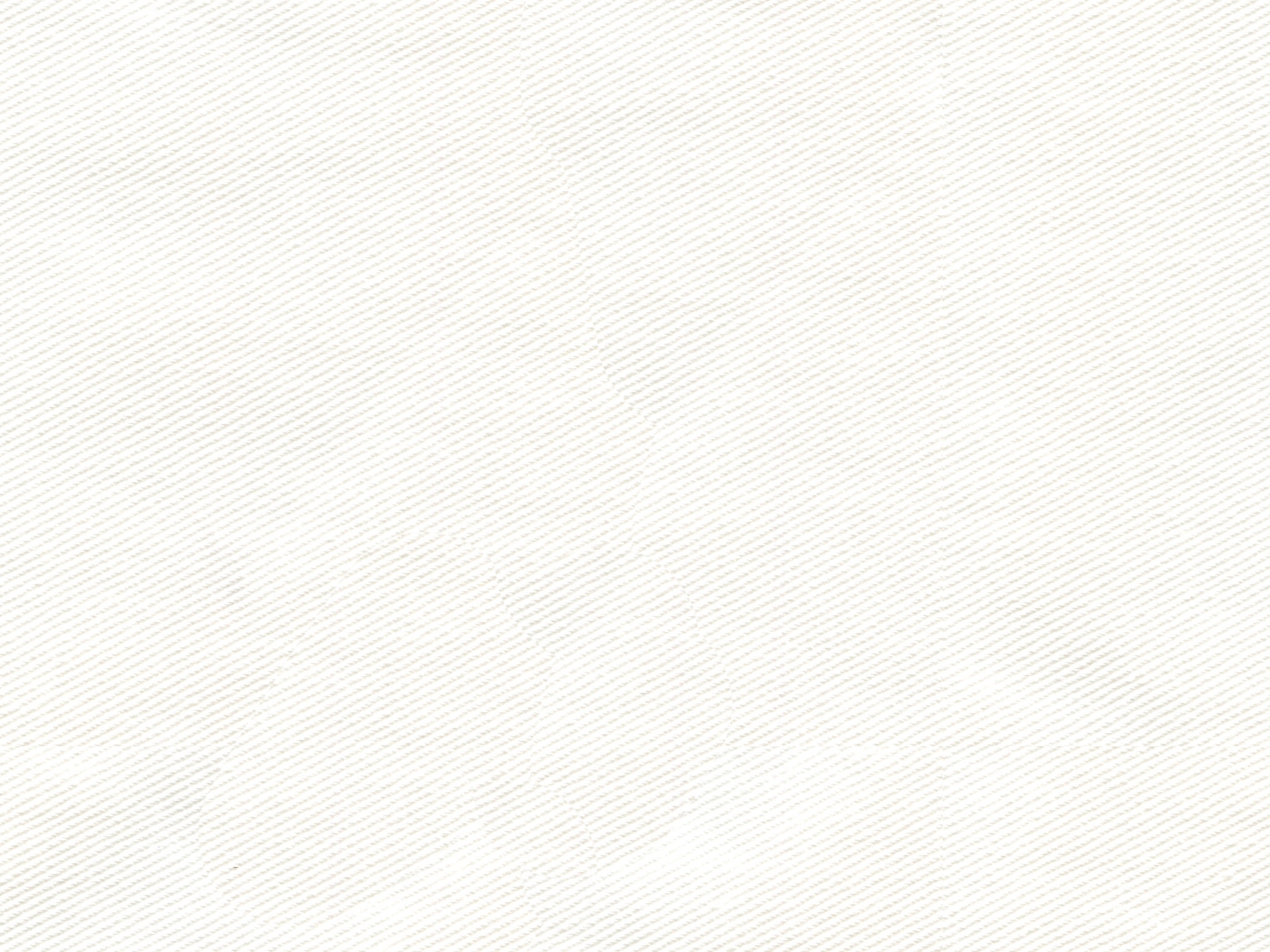 DENIM - BLEACHED WHITE