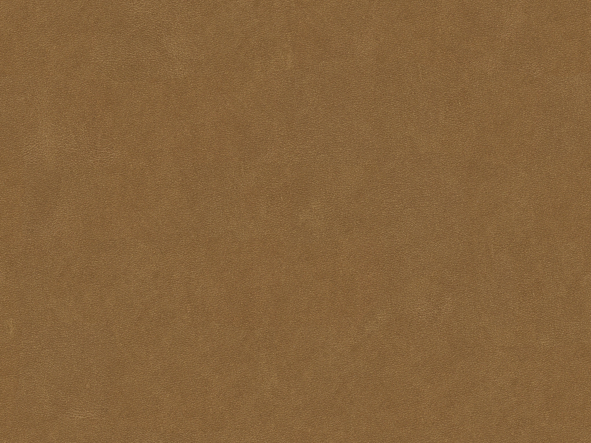 Mont Blanc - Italian Leather - FAWN