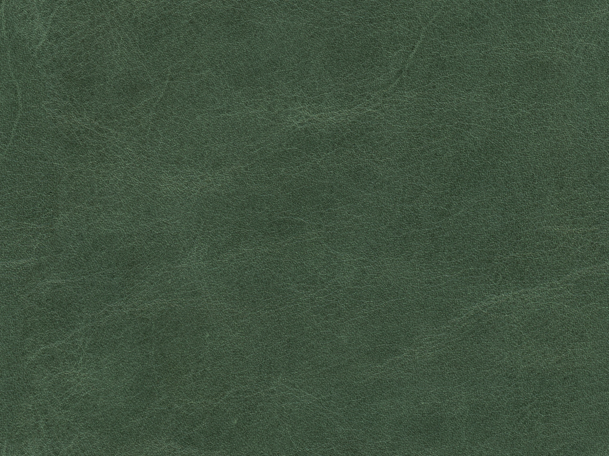 Mont Blanc - Italian Leather - RAINFOREST