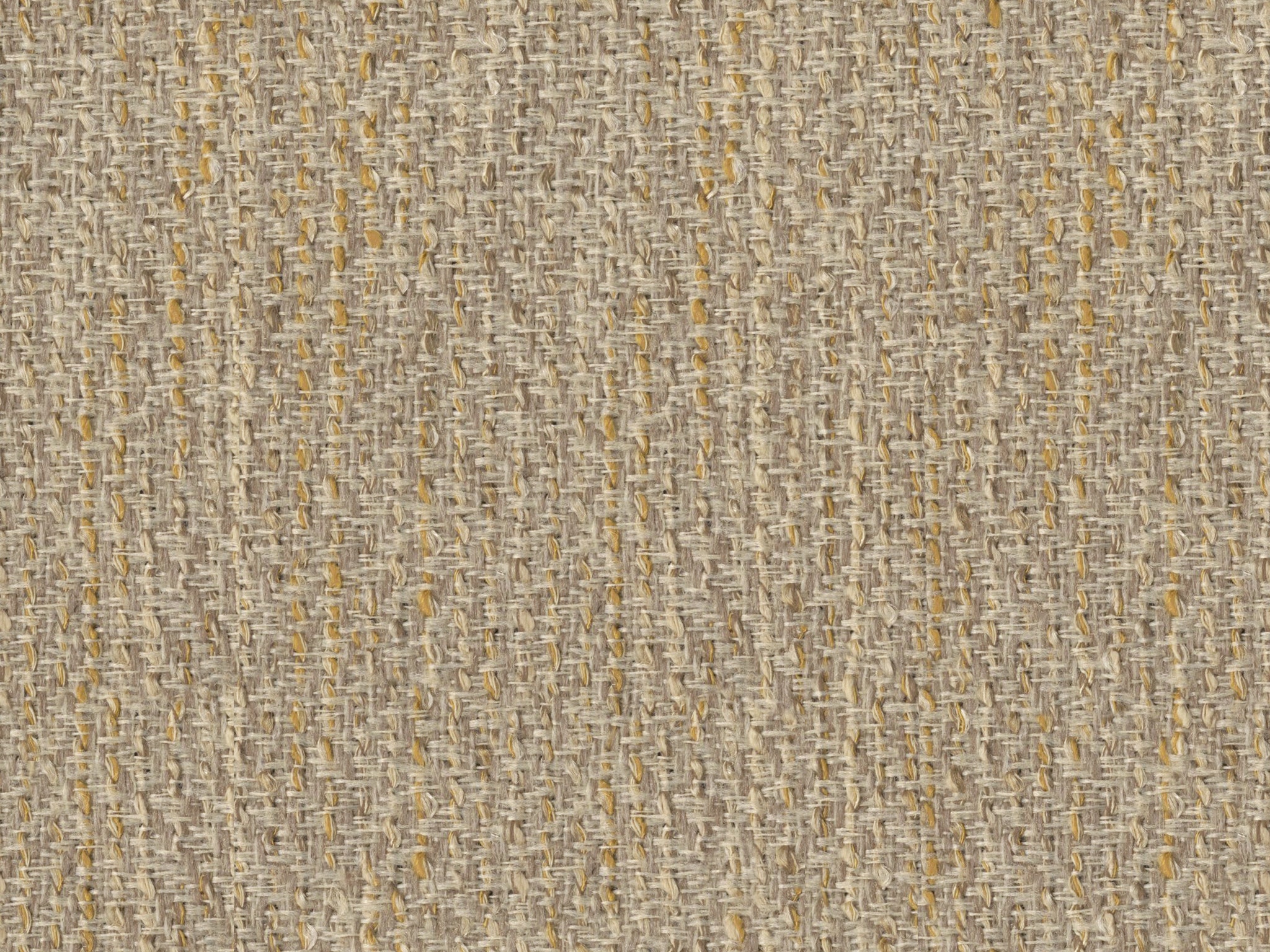 31-23 TAN